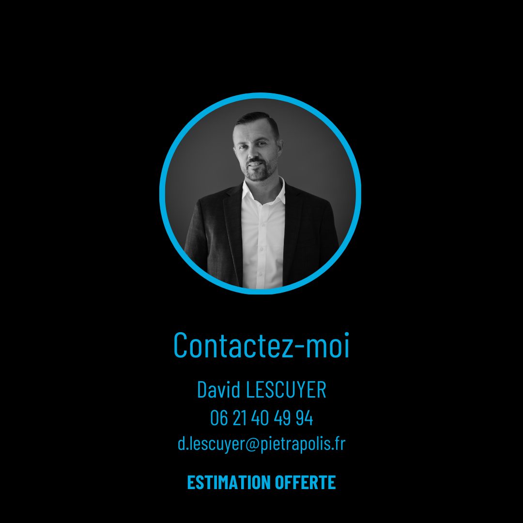 Magnifique appartement à Sainte Foy lès Lyon Sainte-Foy-lès-Lyon 69110