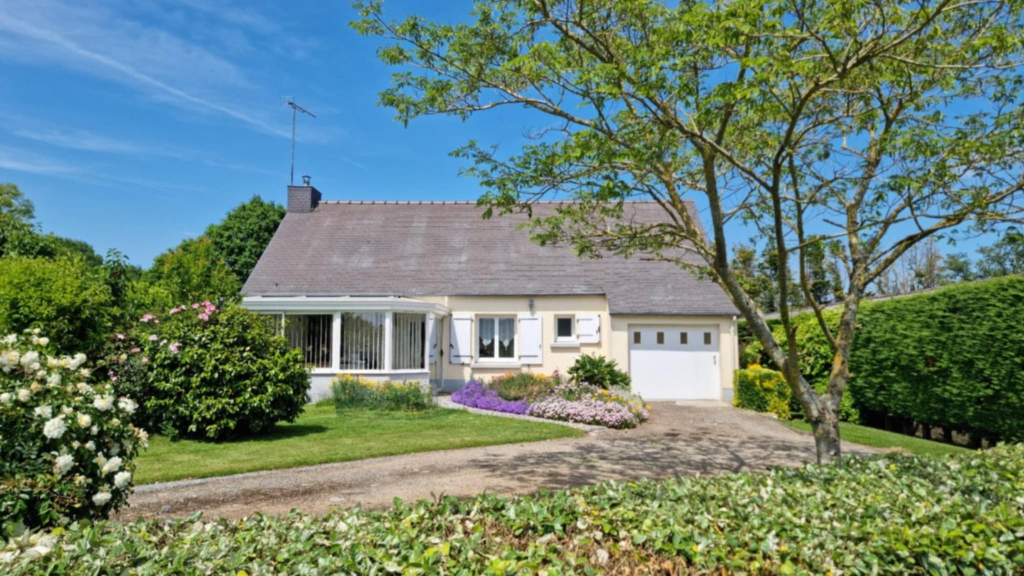 SAINT DOLAY MAISON SUR GRAND TERRAIN Saint-Dolay 56130