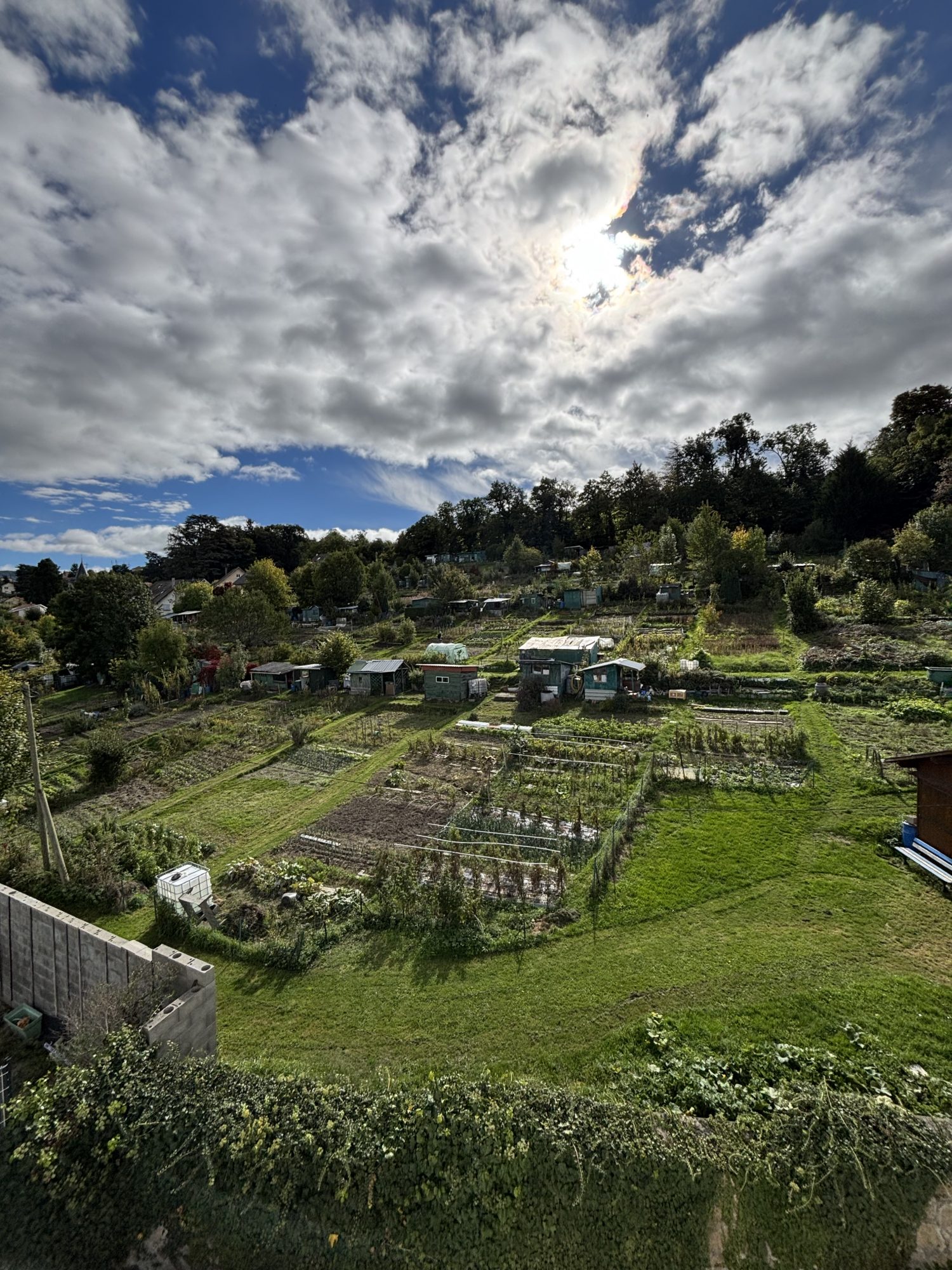Appartement - 2 pièces - 48 m² - Saint-Étienne (42000)