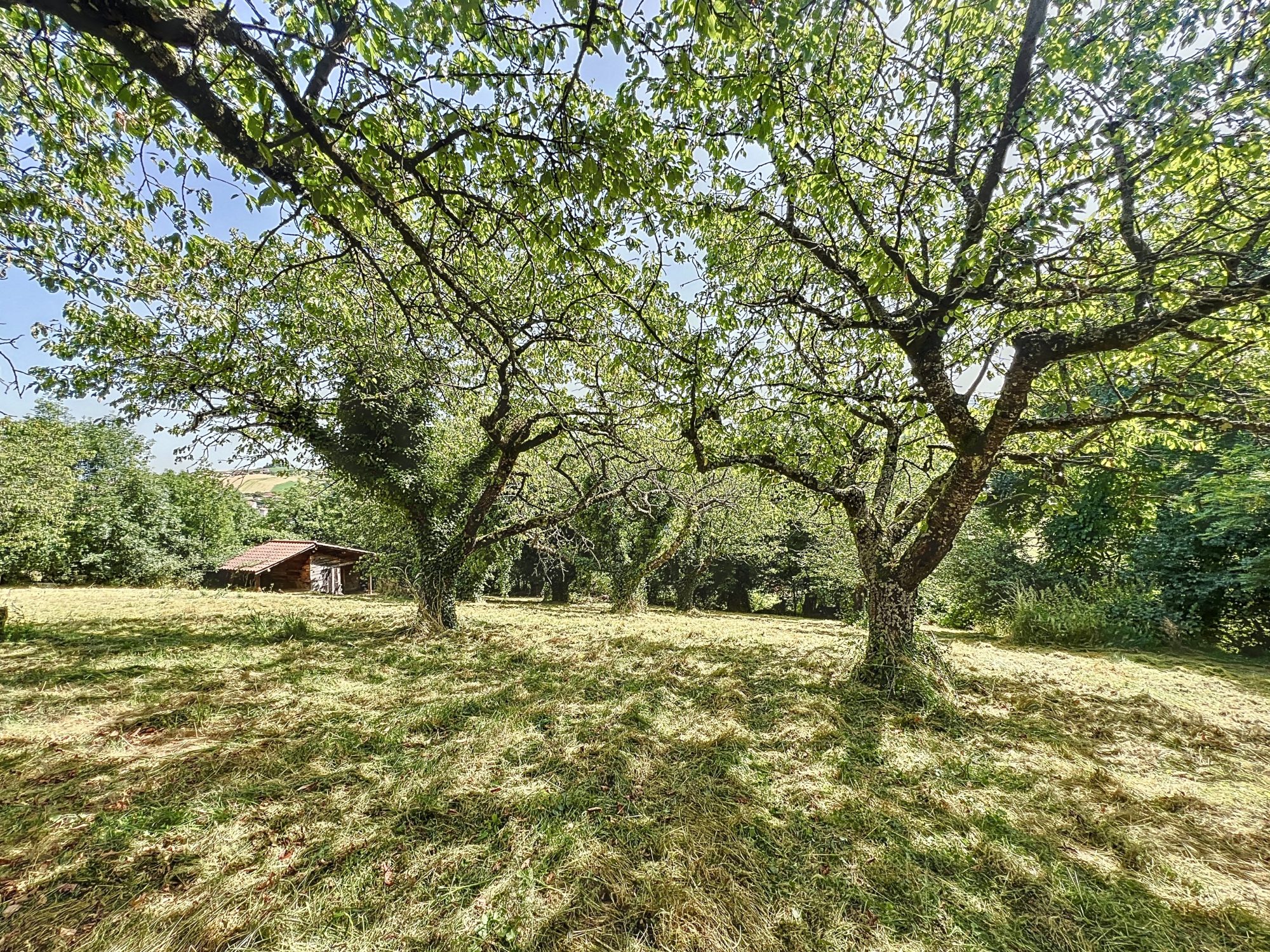 MAISON 142m² - 4 CHBRES – TERRAIN ARBORE – PISCINE - DEPENDANCES - SOUS SOL Saint-Pierre-la-Palud 69210