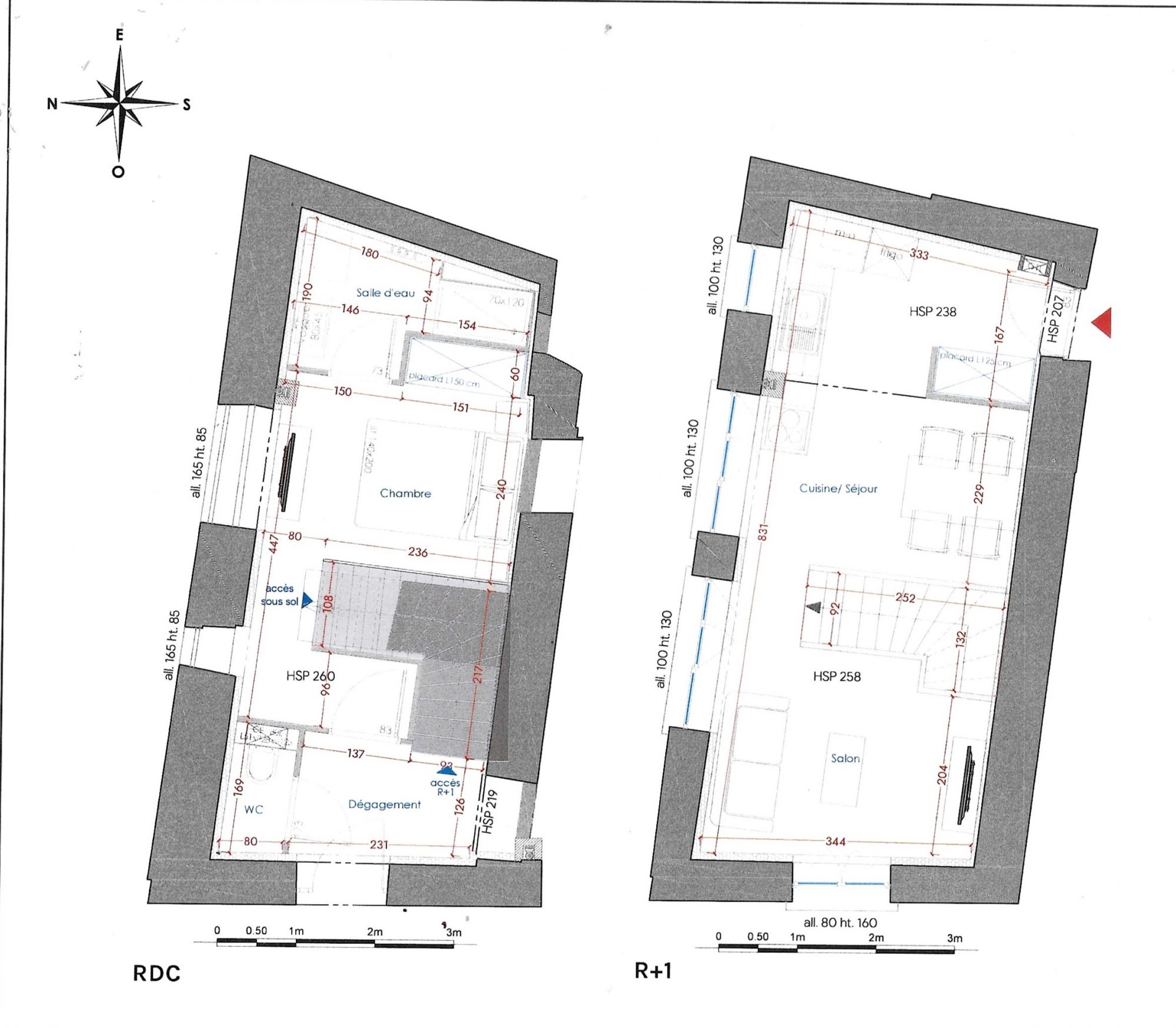 Duplex tout rénové avec sous-sol Lyon 69001