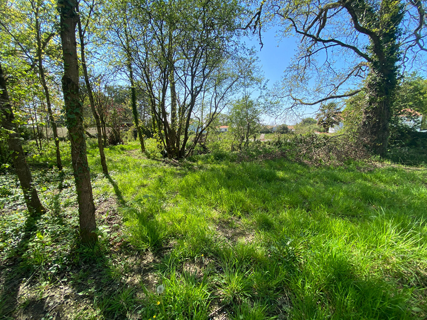 Terrain L Aiguillon Sur Vie L AIGUILLON SUR VIE 85220