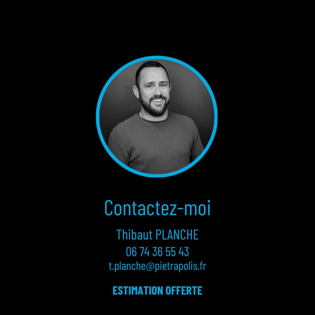 Villa contemporaine - Vue incroyable Saint-Cyr-au-Mont-d'Or 69450