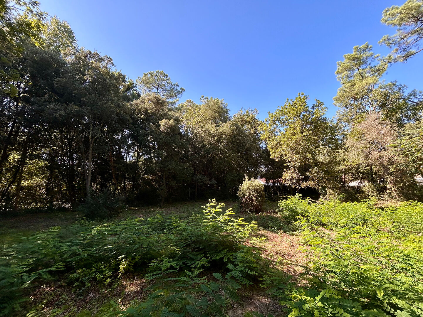 Terrain Saint Hilaire De Riez 835m2 SAINT HILAIRE DE RIEZ 85270