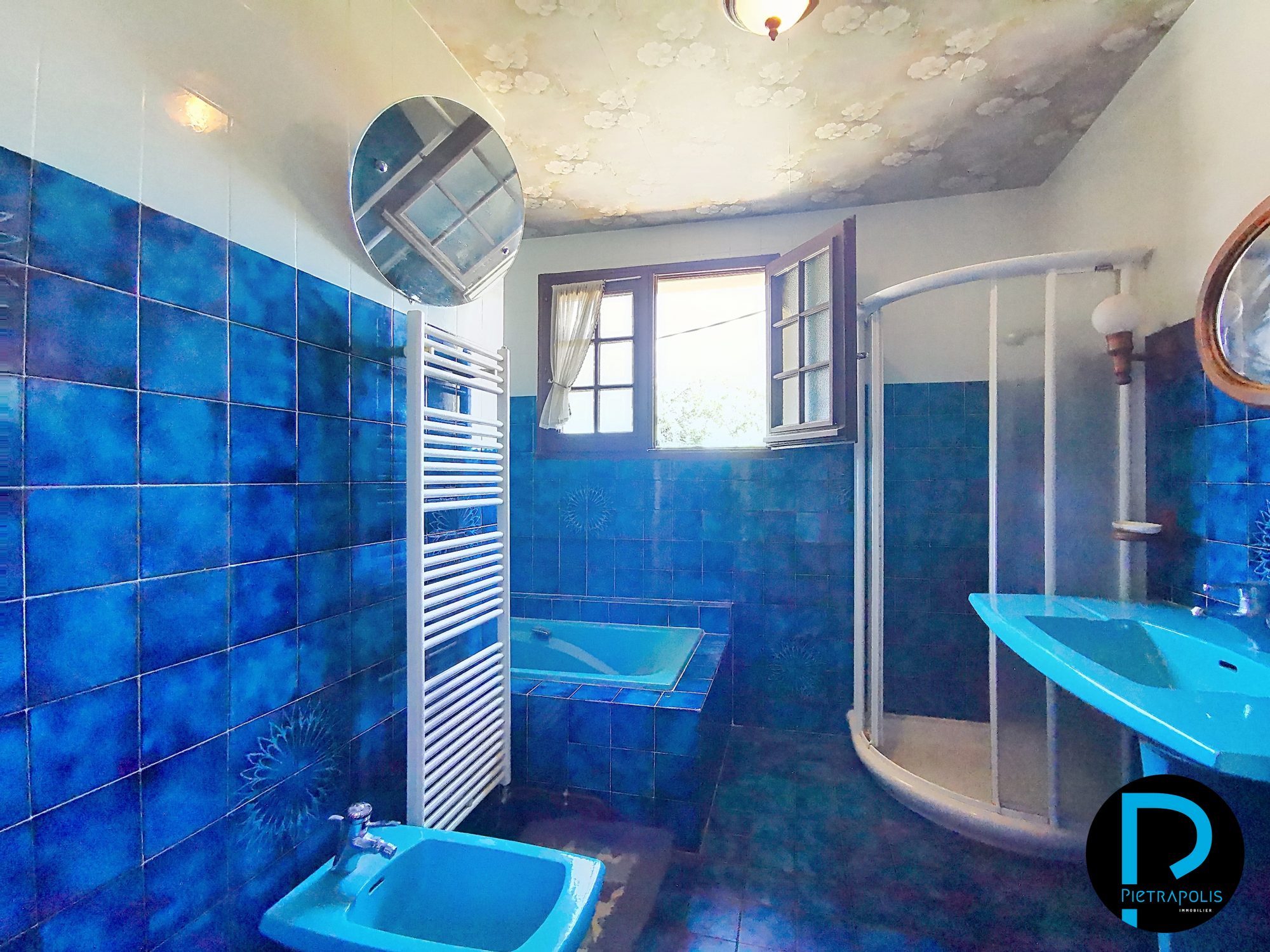 Maison 120 m² sur sous-sol avec grande dépendance – St Genis sur Menthon Vonnas 01540