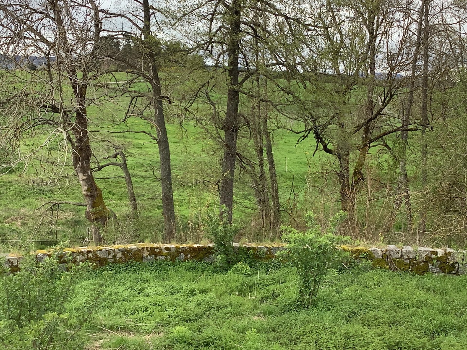 Maison en pierres mitoyenne avec garage et terrain d’environ 857 m2 Tence 43190