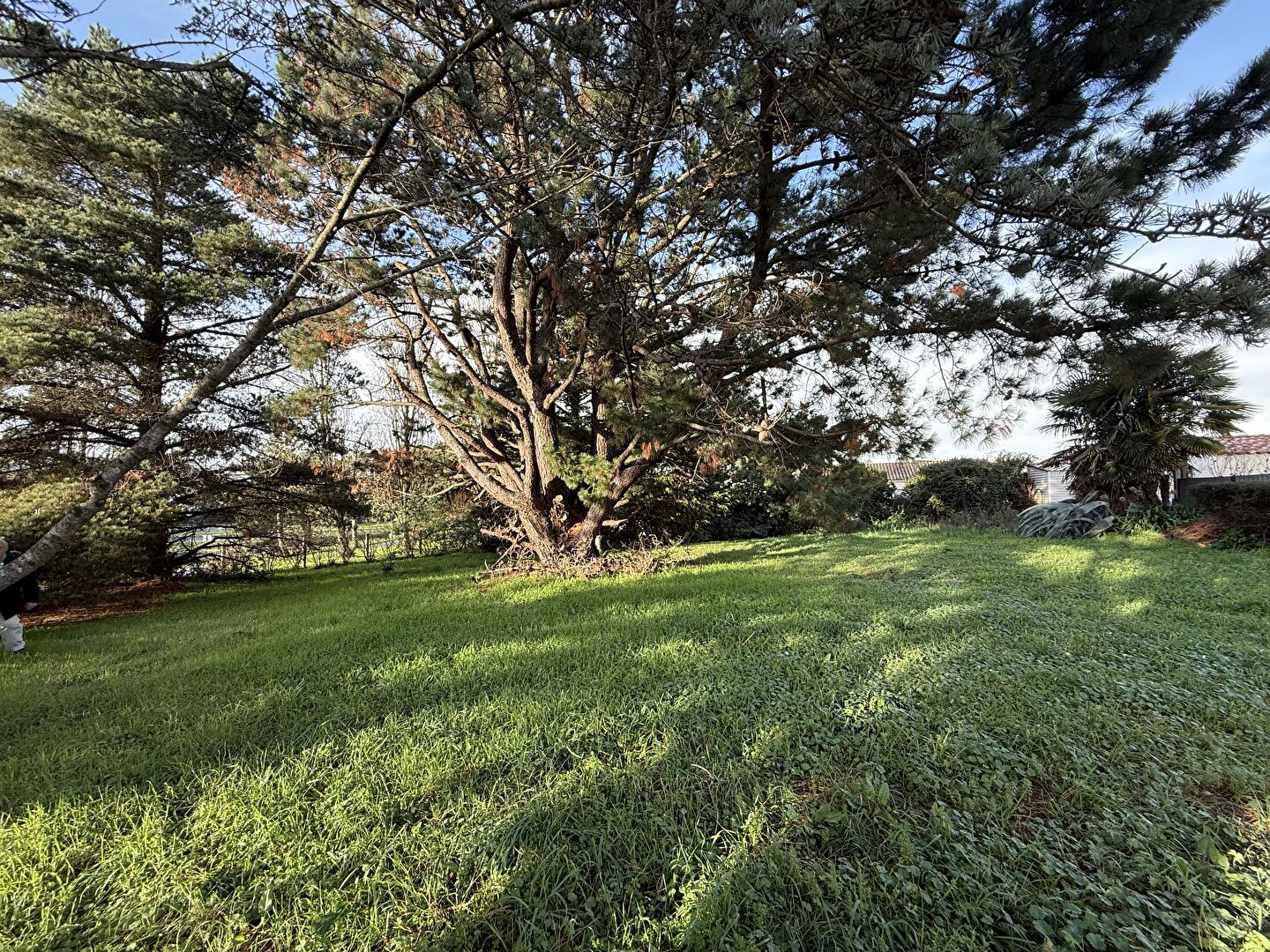 Terrain Le Fenouiller LE FENOUILLER 85800