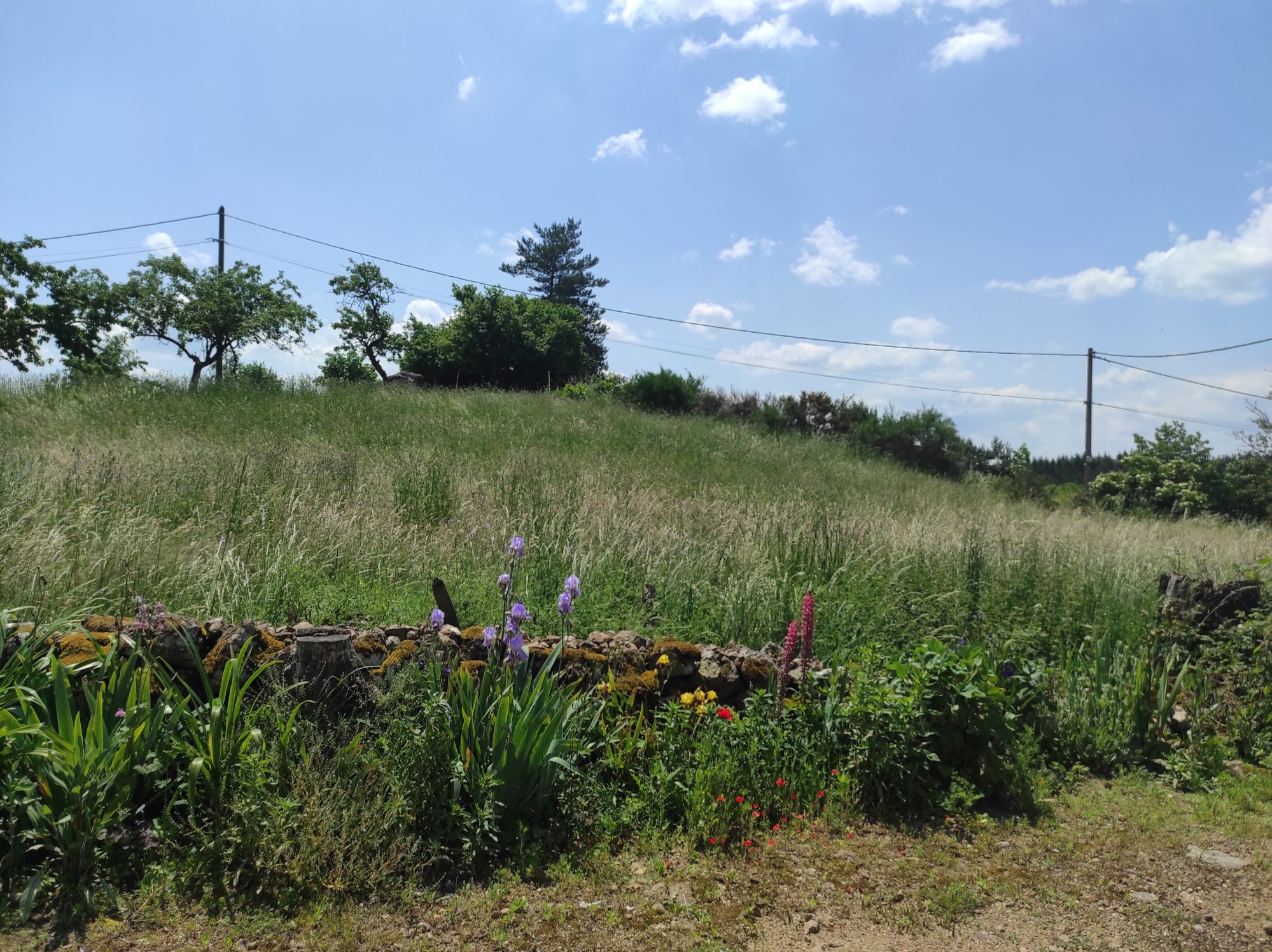 Terrain constructible