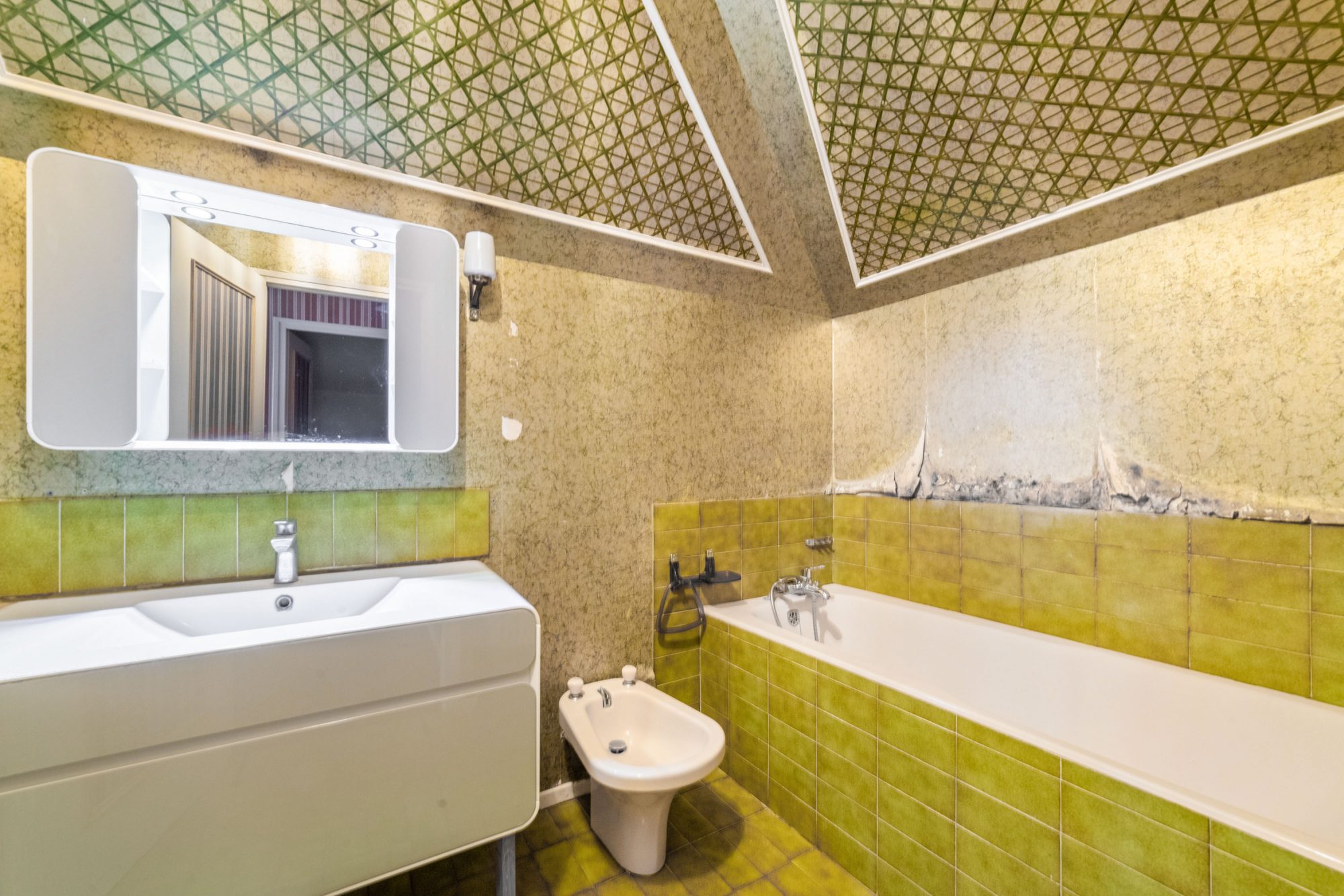 Maison de 300m2, terrain de 2596m2 à Sainte Euphémie. Sainte-Euphémie 01600