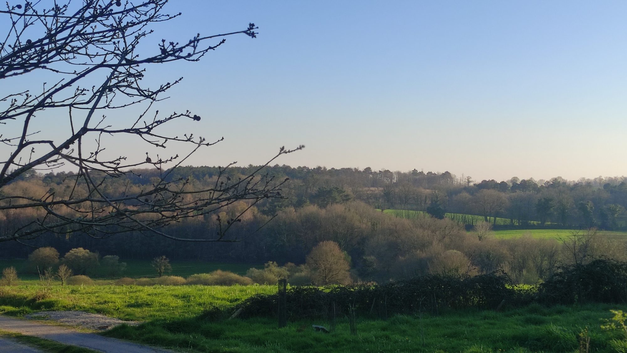 TERRAIN A BATIR 350m² VUE IMPRENANBLE AU CALME