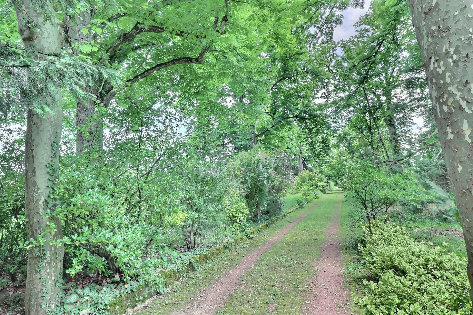 Proche de Buxy : maison de caractère avec parc. Buxy 71390