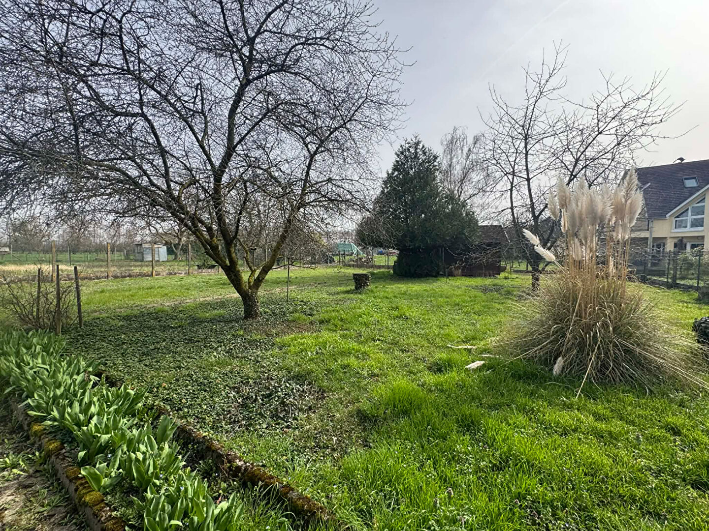 SUPERBE TERRAIN GUNDOLSHEIM