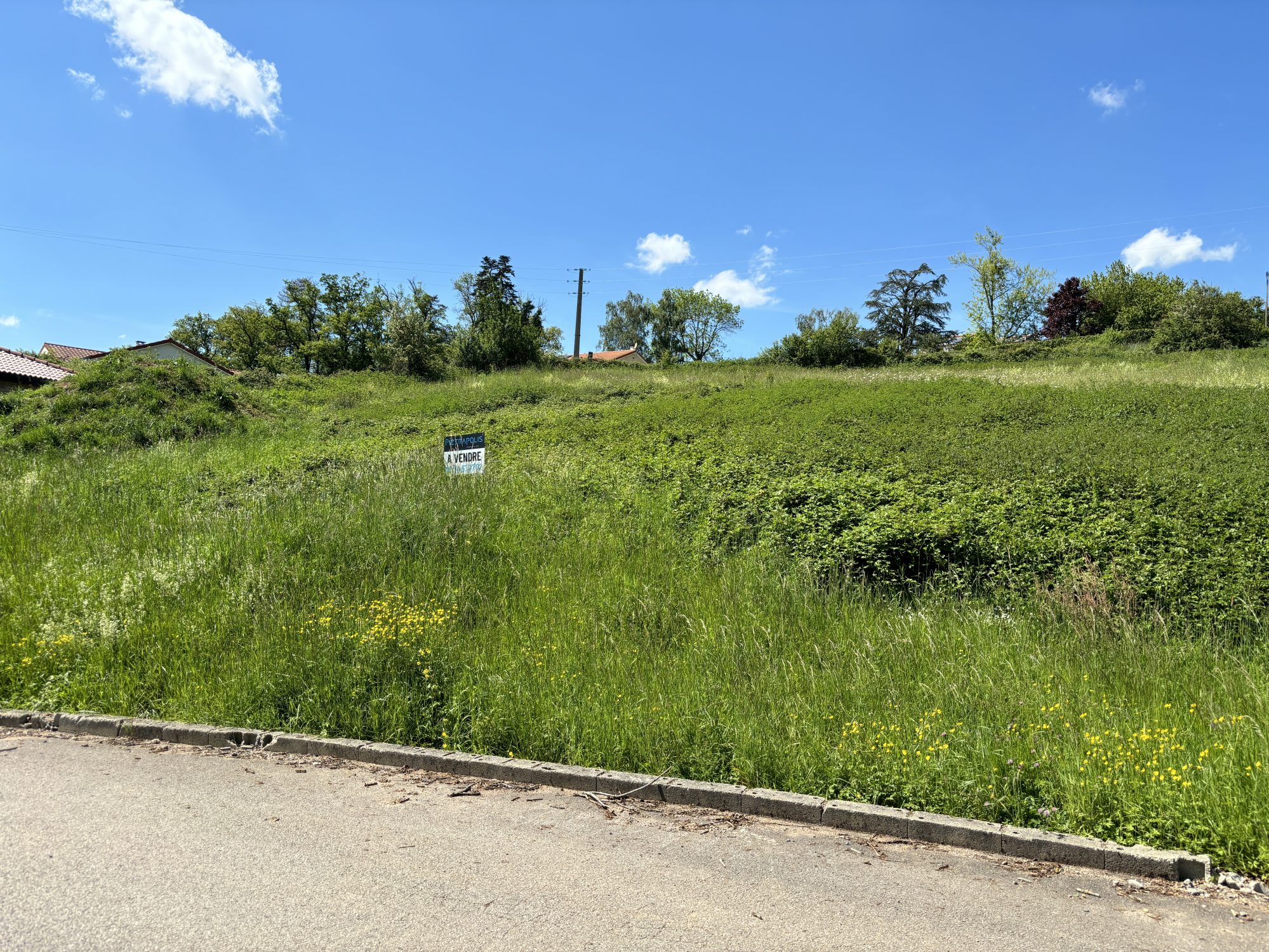 TERRAIN CONSTRUCTBLE AVEC VUE Amplepuis 69550