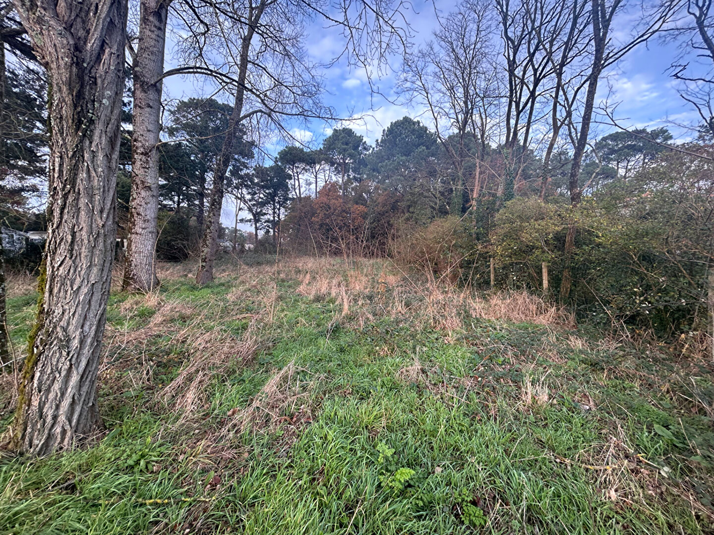 Terrain 600m2 Saint Hilaire De Riez SAINT HILAIRE DE RIEZ 85270