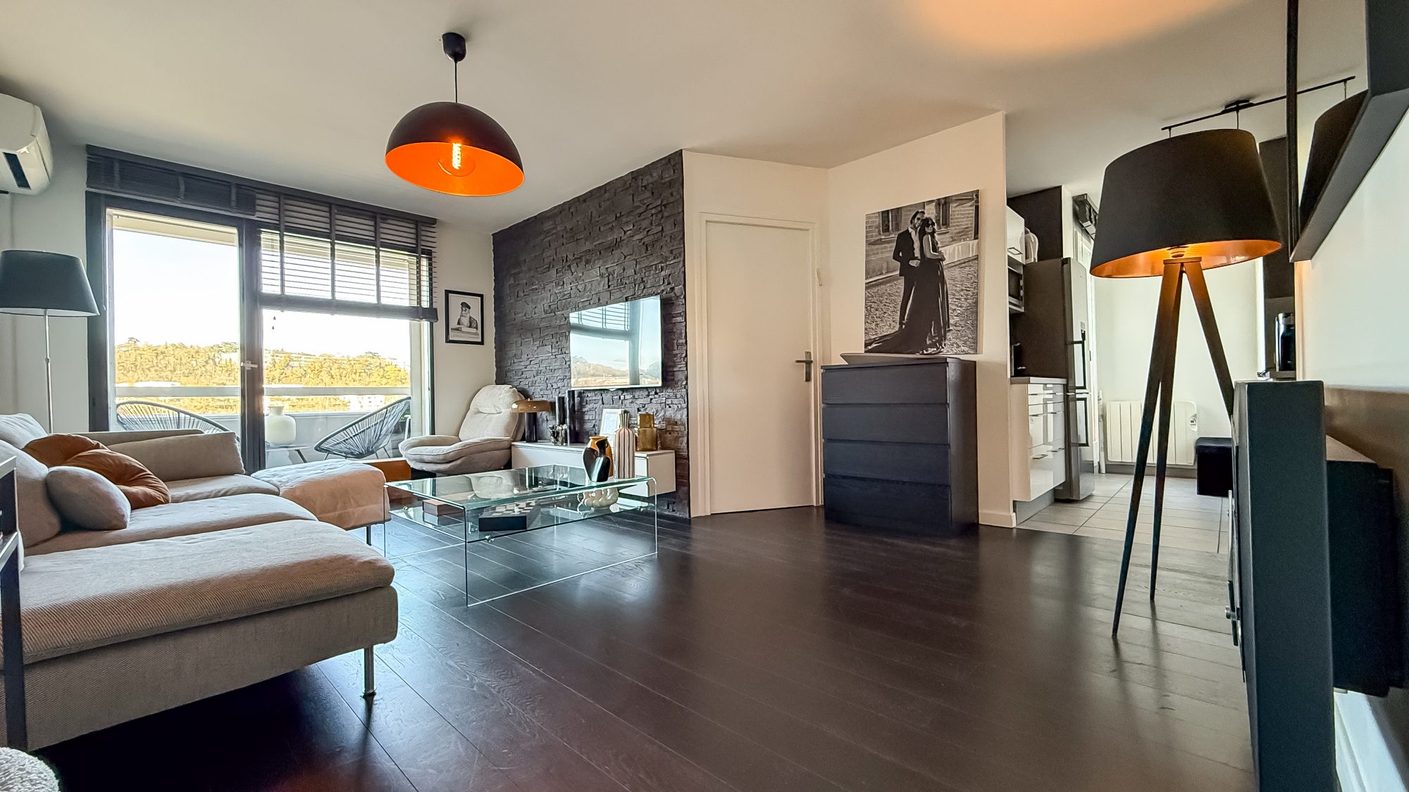 Magnifique appartement T2 vue Saône