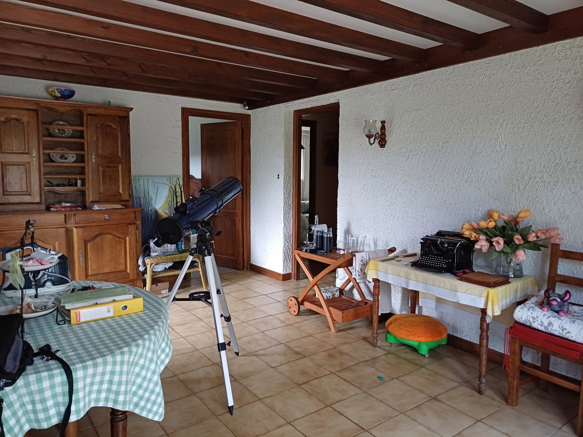 Maison - 11 pièces - 200 m² - Chenereilles (43190)
