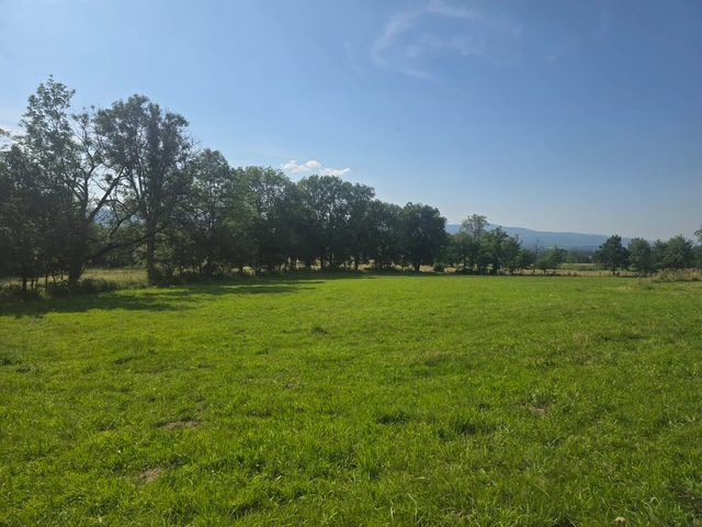 Maison - 3 pièces - 136 m² - Dore-l'Église (63220)