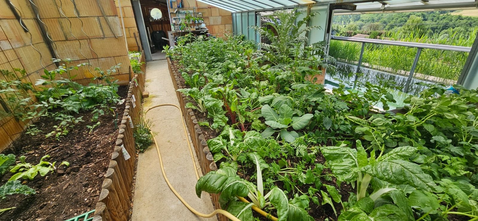 MAISON AVEC TERRAIN, PISCINE et DEPENDANCES Amplepuis 69550