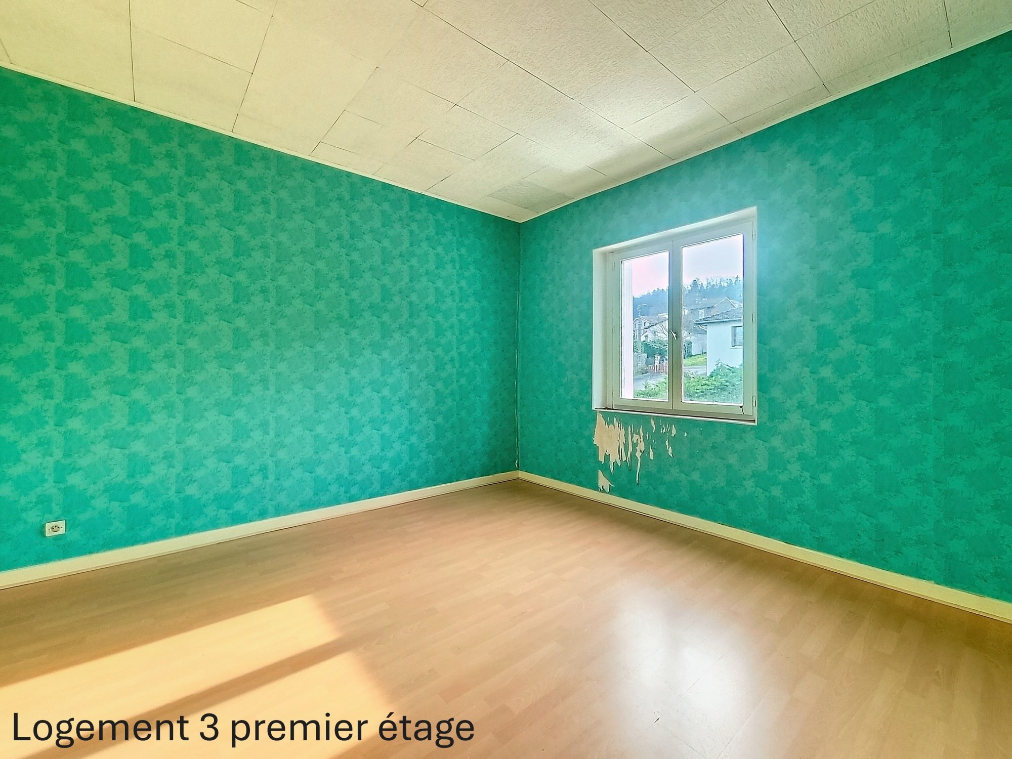 tènement de 5 logements Fraisses 42490