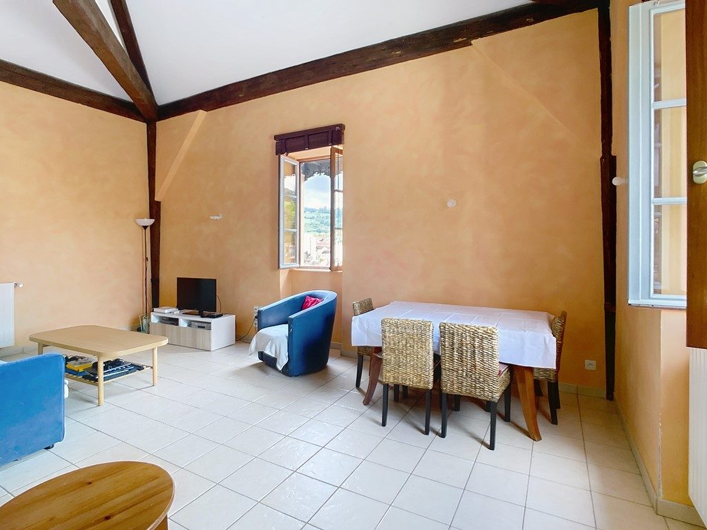 TARARE - APPARTEMENT DUPLEX T4 - 90 M2 - 3 CHAMBRES DANS IMMEUBLE MAGNIFIQUE AVEC PARC ARBORÉ DE 15000 M2
