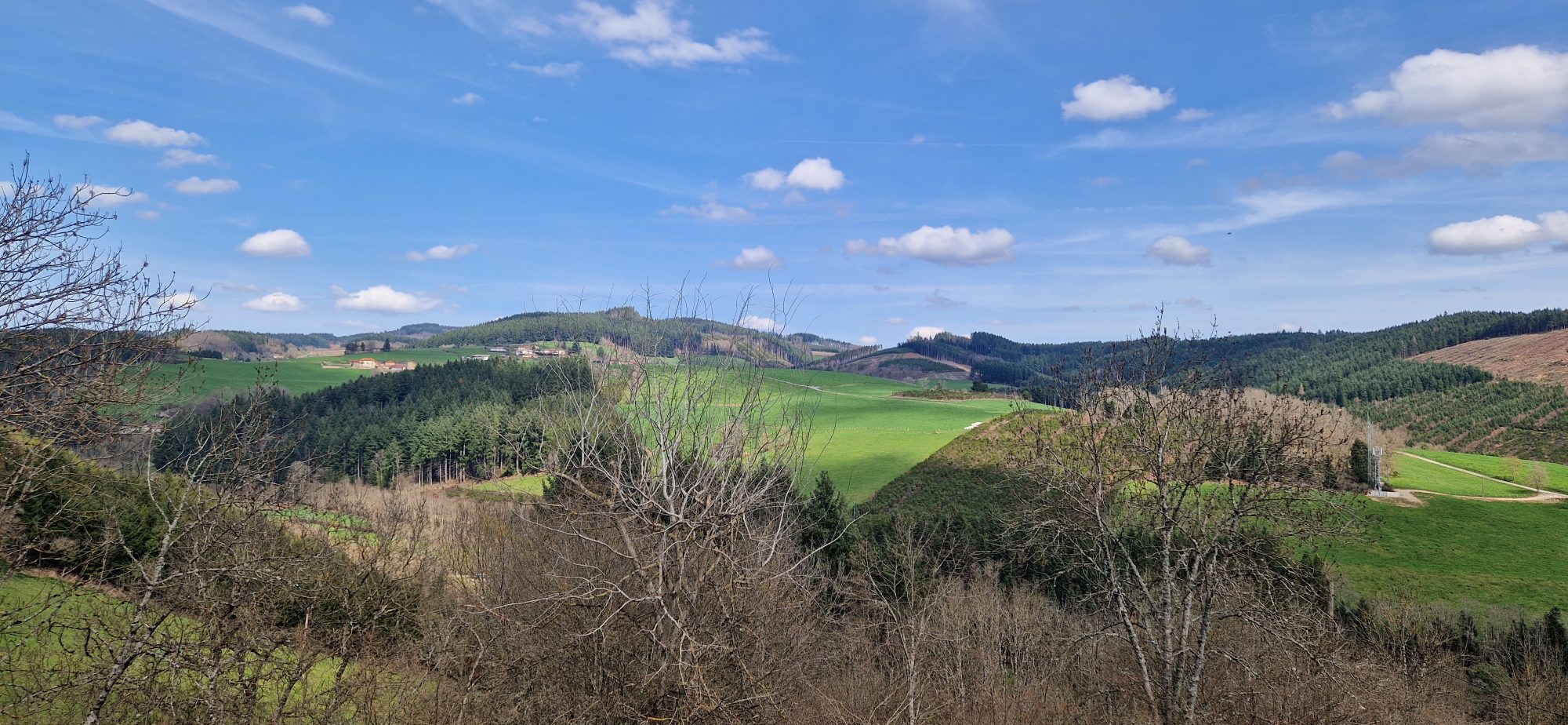 MAISON - 2 CHBRES – JARDIN – DEPENDANCES - SOUS SOL Saint-Vincent-de-Reins 69240