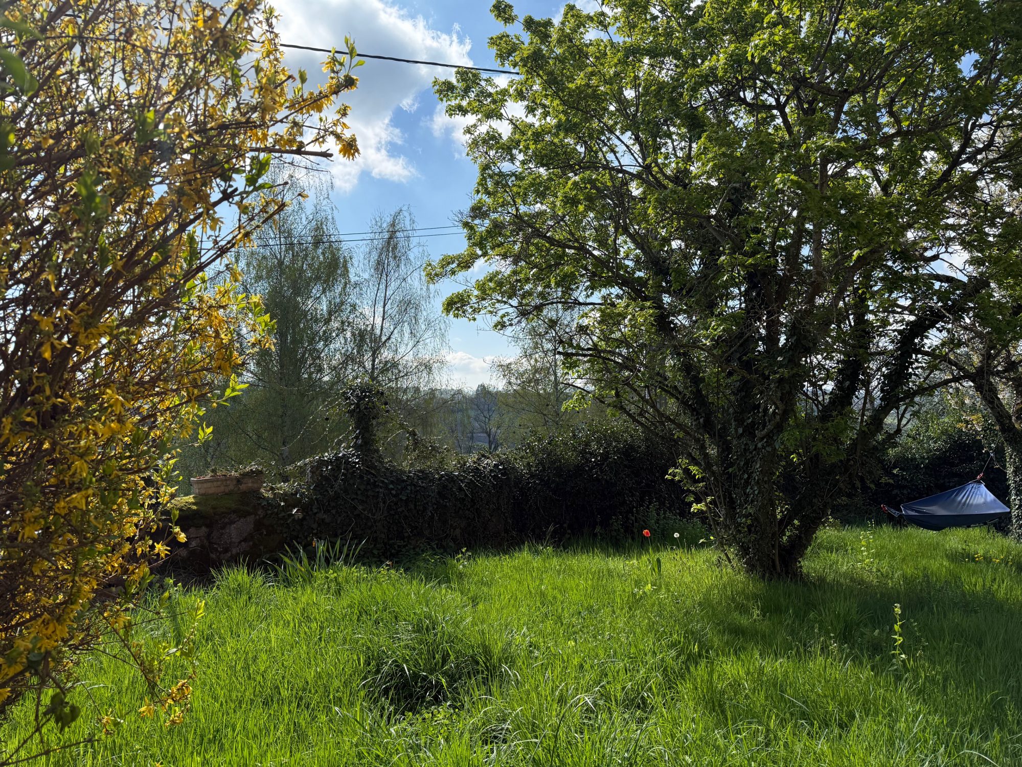 Longessaigne Corps de ferme, entièrement rénové avec goût Longessaigne 69770