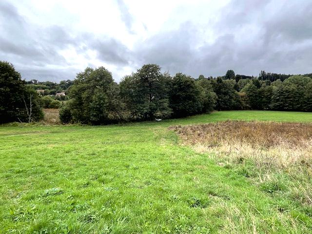 Maison en pierres avec grange Saint-alyre-d'arlanc 63220