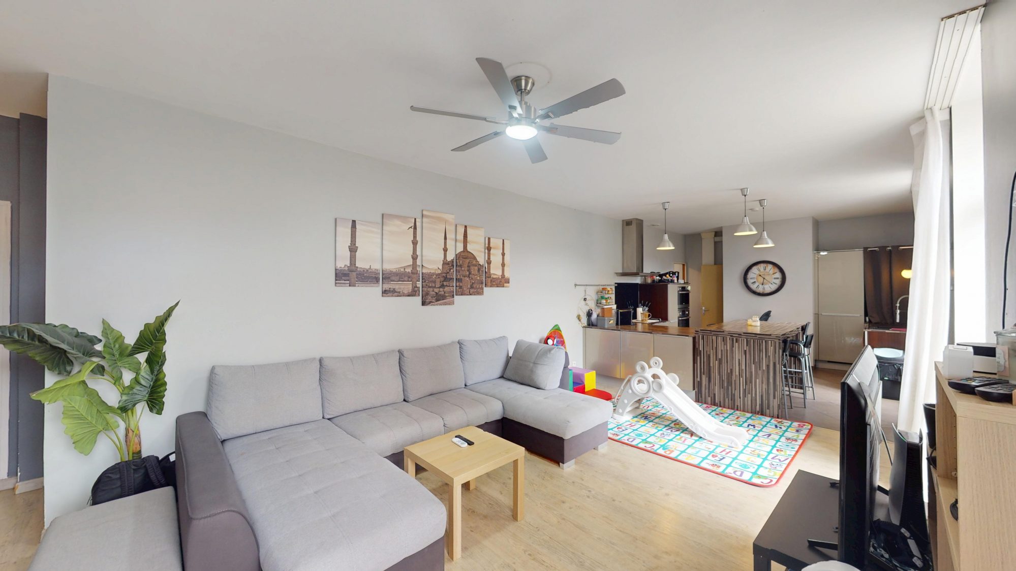 Appartement et local commercial Le Chambon-Feugerolles 42500