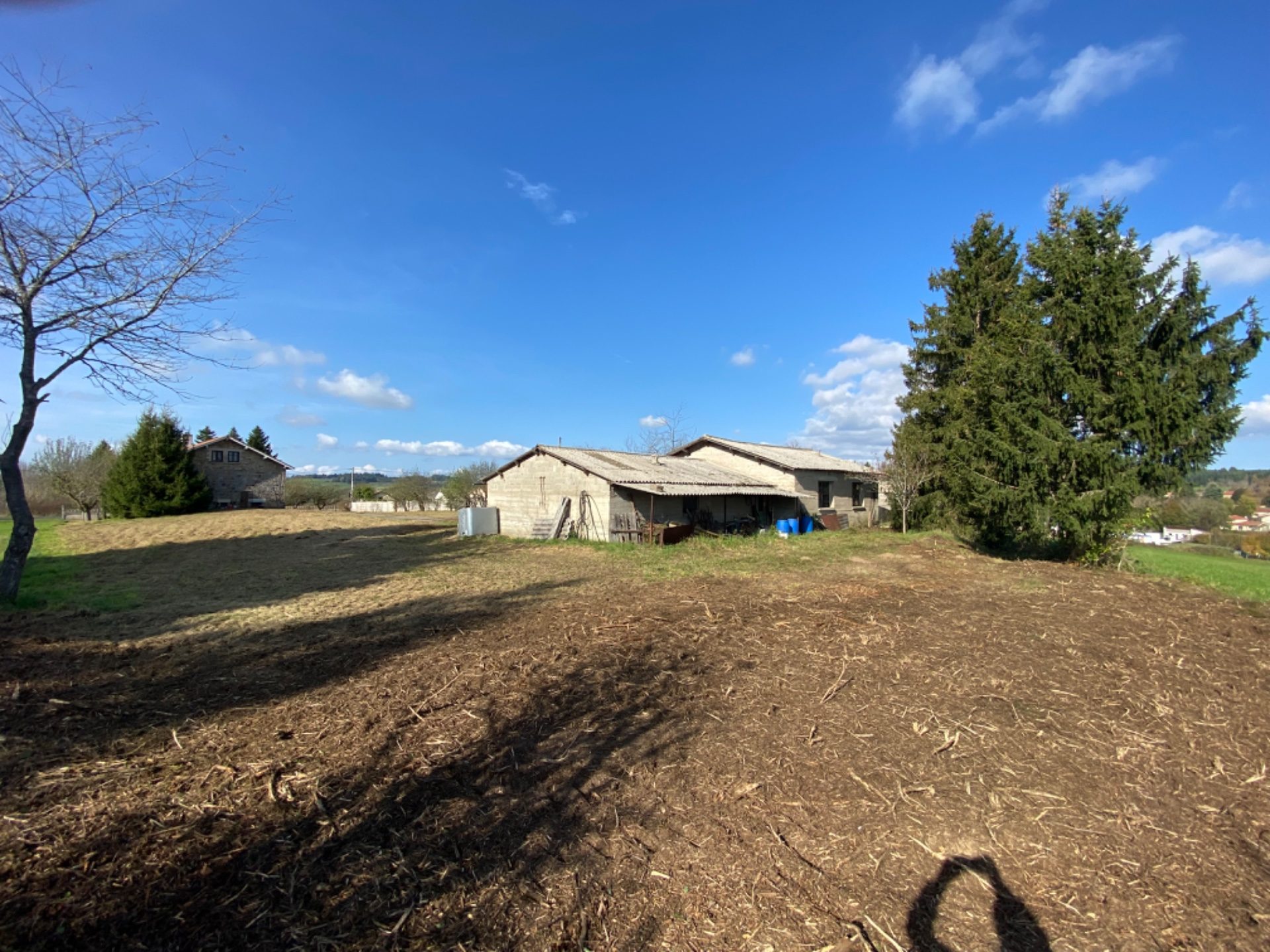 Maison à rénover avec dépendance et grand terrain Apinac 42550