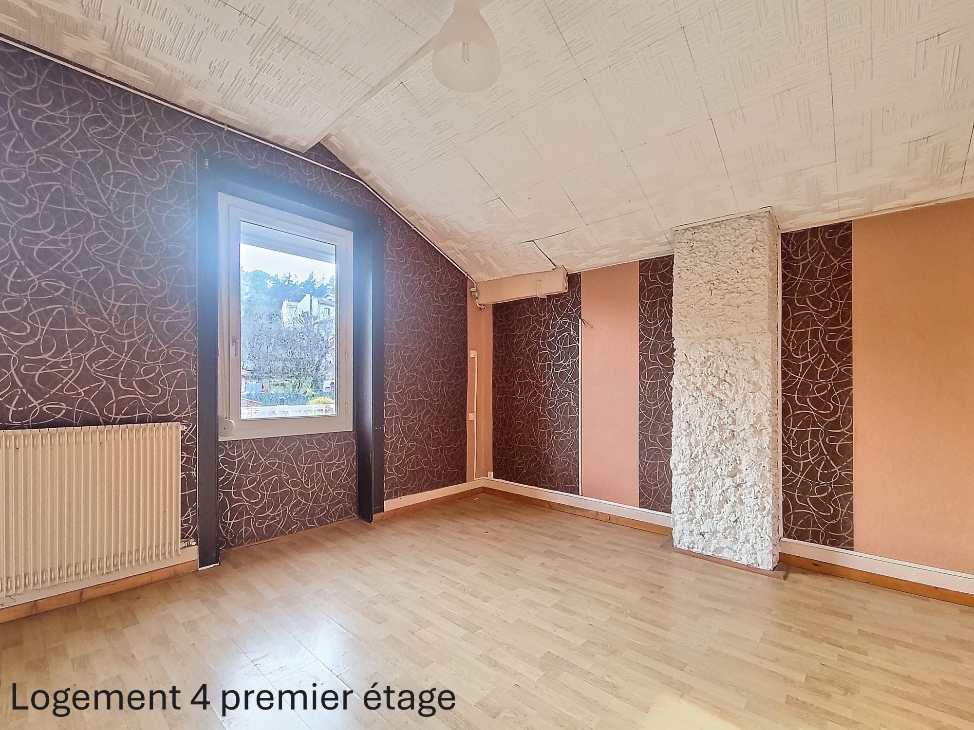 tènement de 5 logements Fraisses 42490