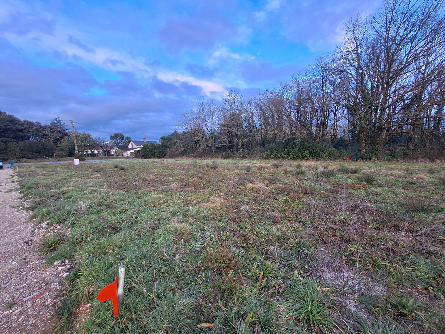 Terrain Coex 839 m2 Coex 85220