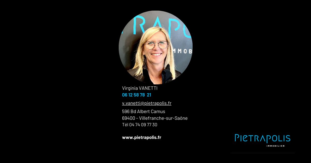 Plateau sous combles T3 - vue dégagée - traversant Gleizé 69400