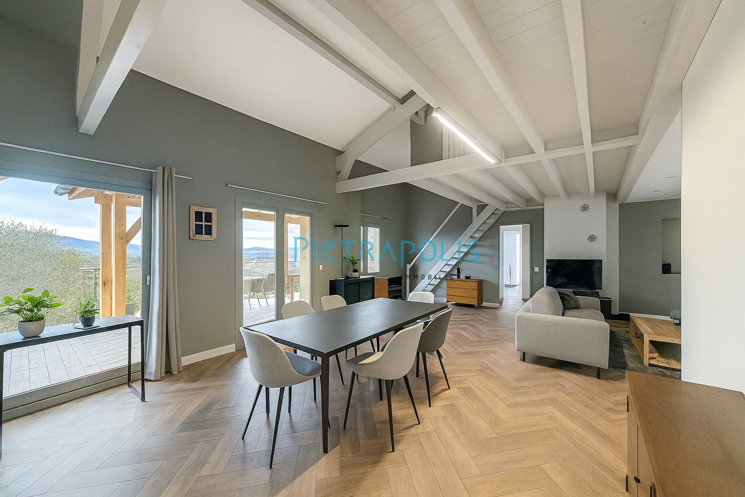 VUE PANORAMIQUE, PISCINE , GARAGE XXL REYRIEUX