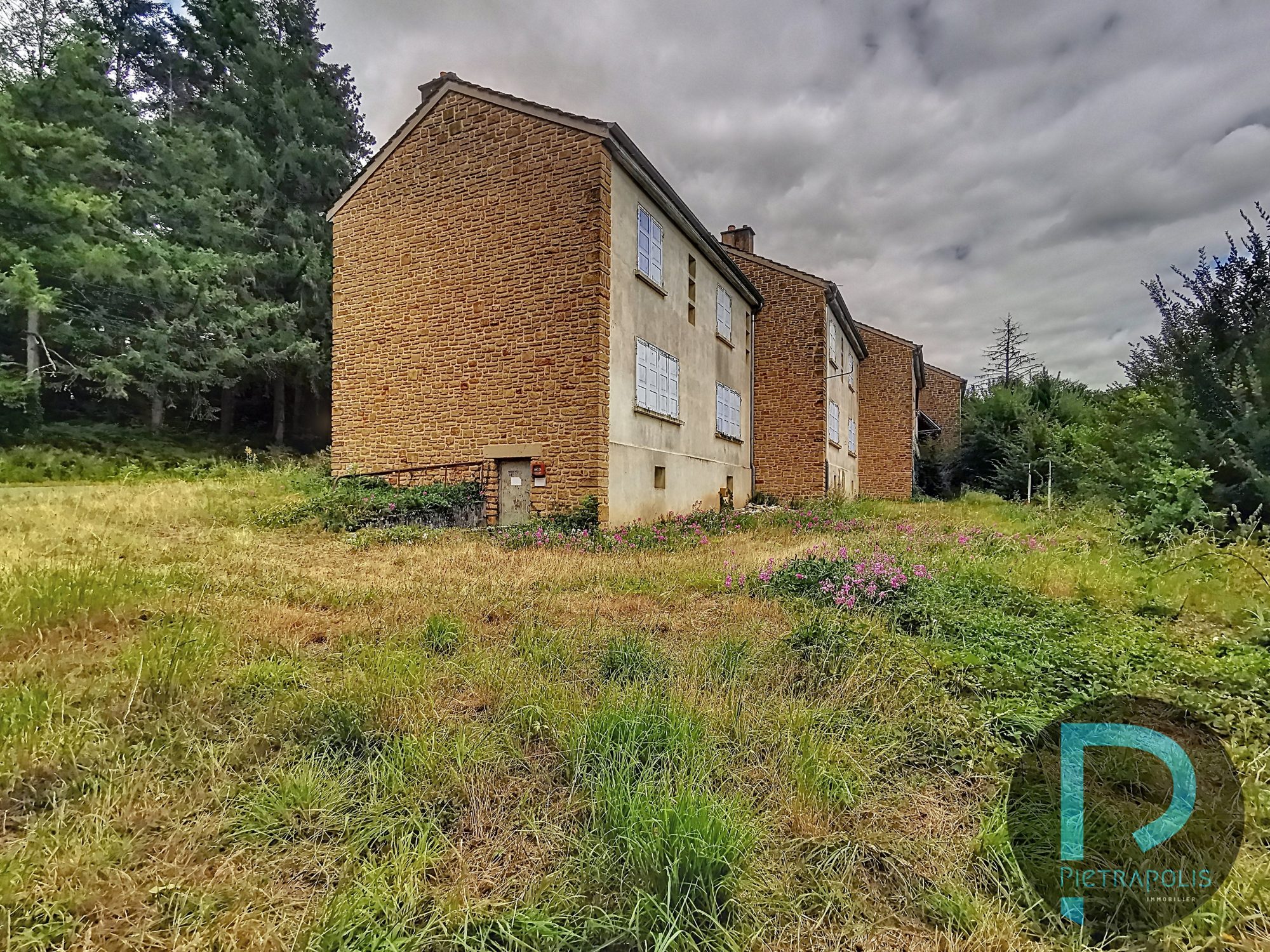 PROPRIETE avec  8 logements à rénover Bergesserin 71250