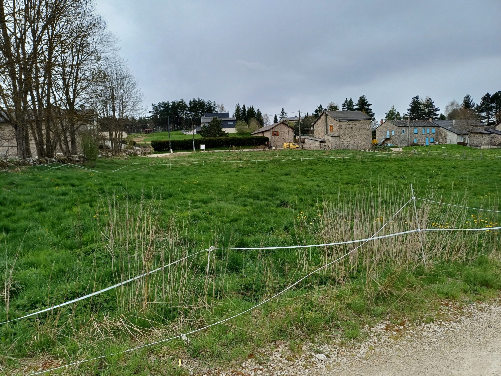 Terrain - 1443 m² - Tence (43190)