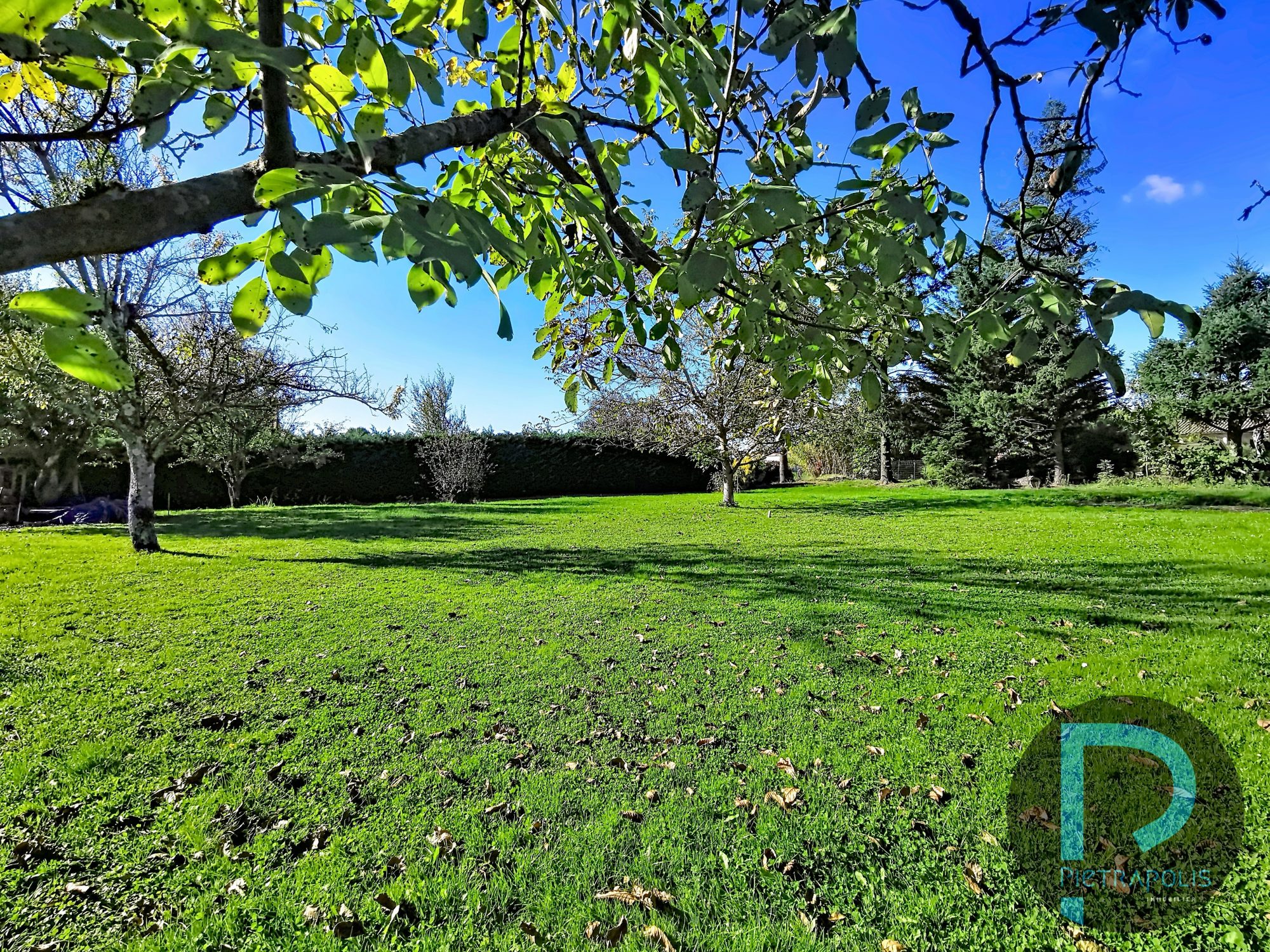 SAINT CYR SUR MENTHON EXCLUSIVITE TERRAIN CONSTRUCTIBLE Saint-Cyr-sur-Menthon 01380