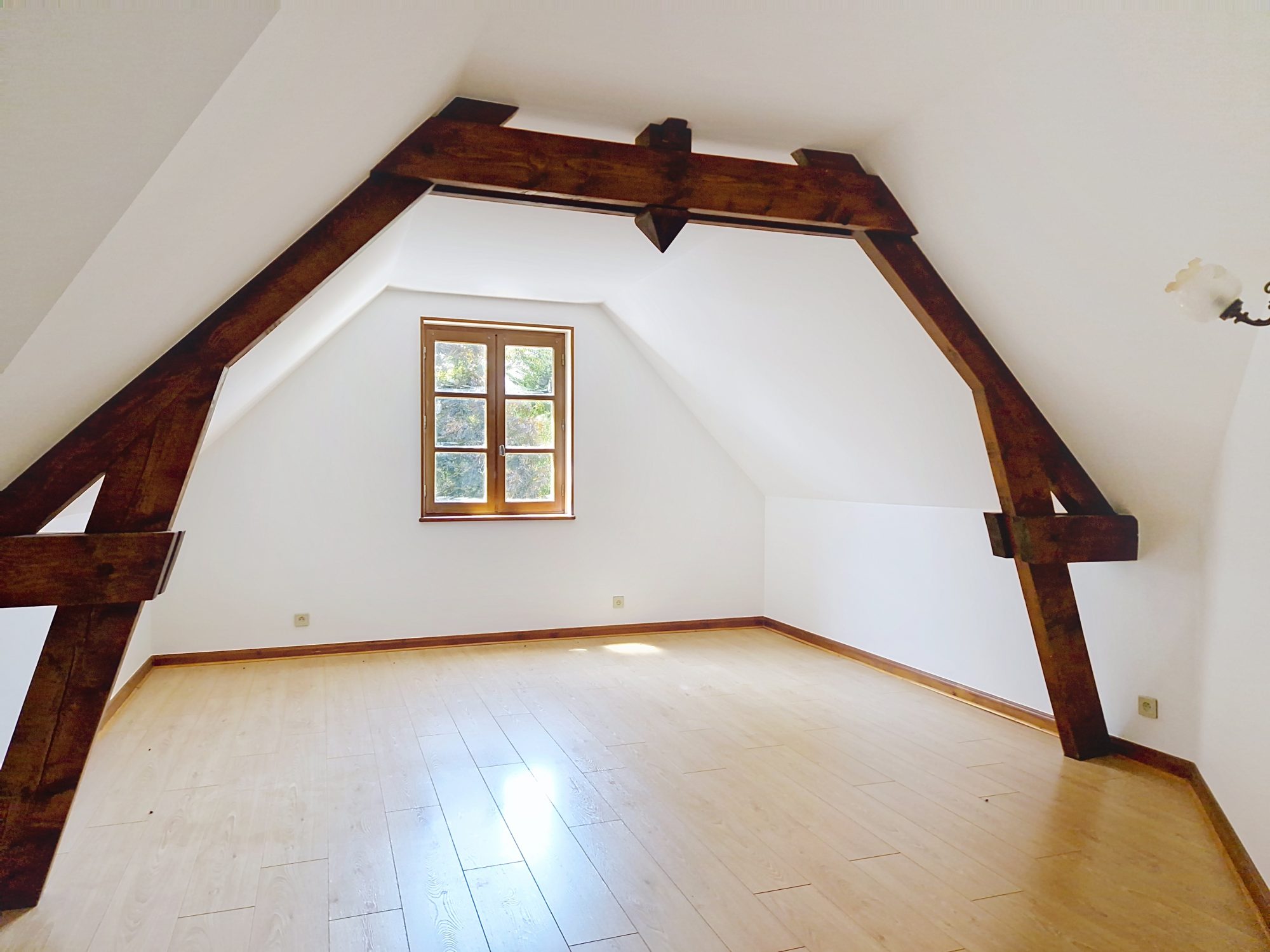 Maison familiale + dépendance pro – Vue dégagée, activité sur place possible ! La Clayette 71800