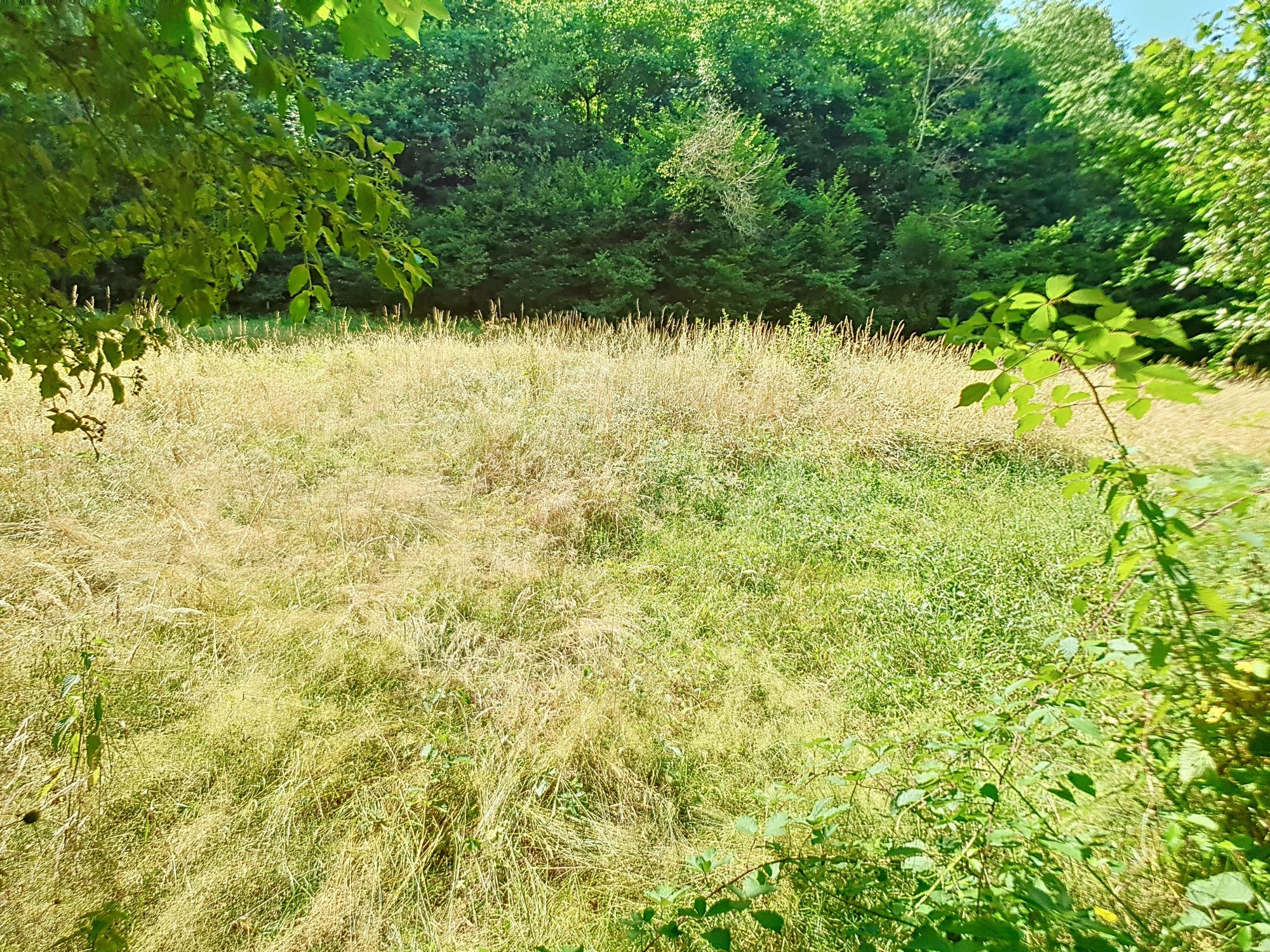 Terrain constructible au coeur de Chatonnay