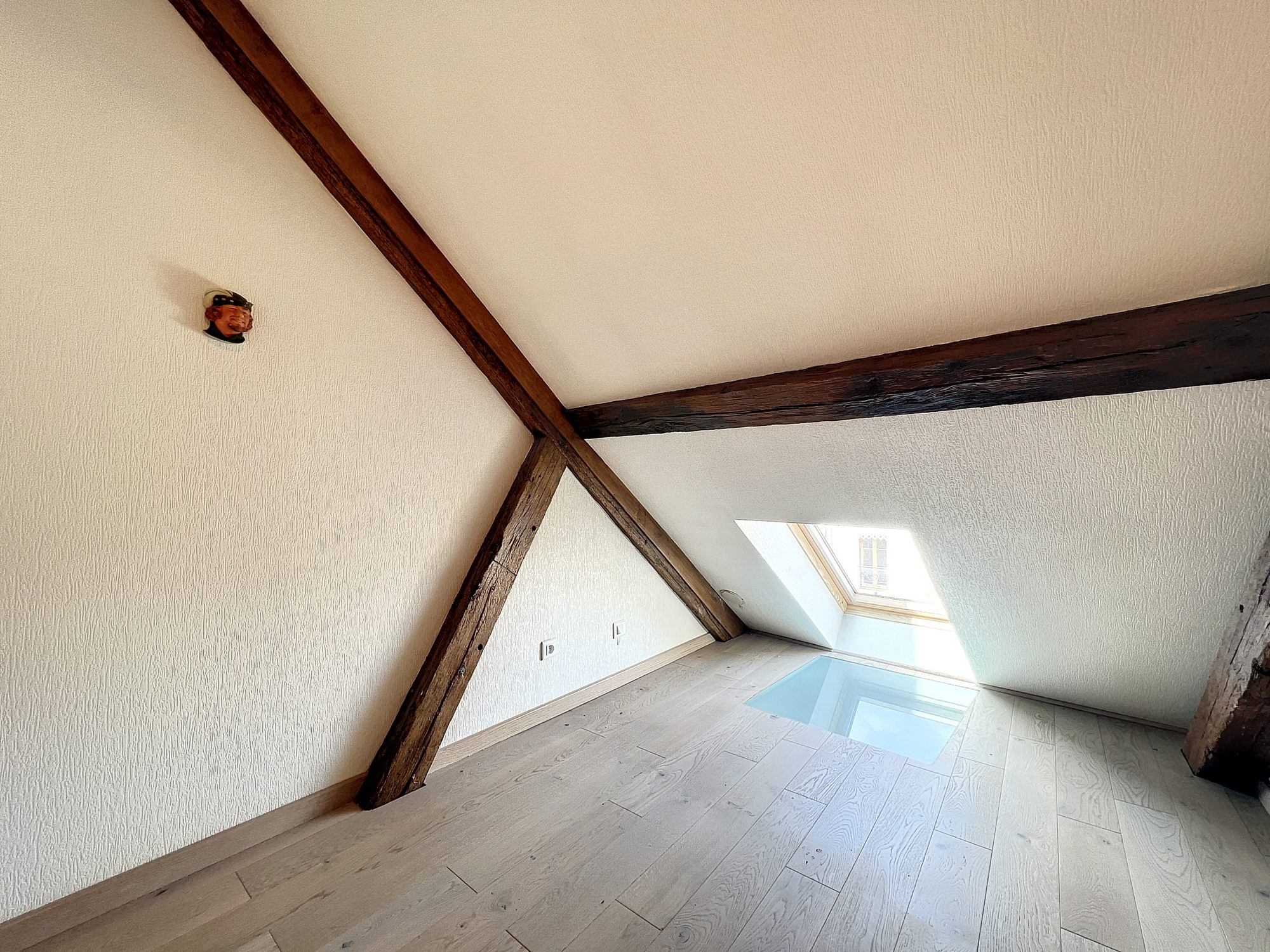 Duplex en hyper centre Dijon 21000