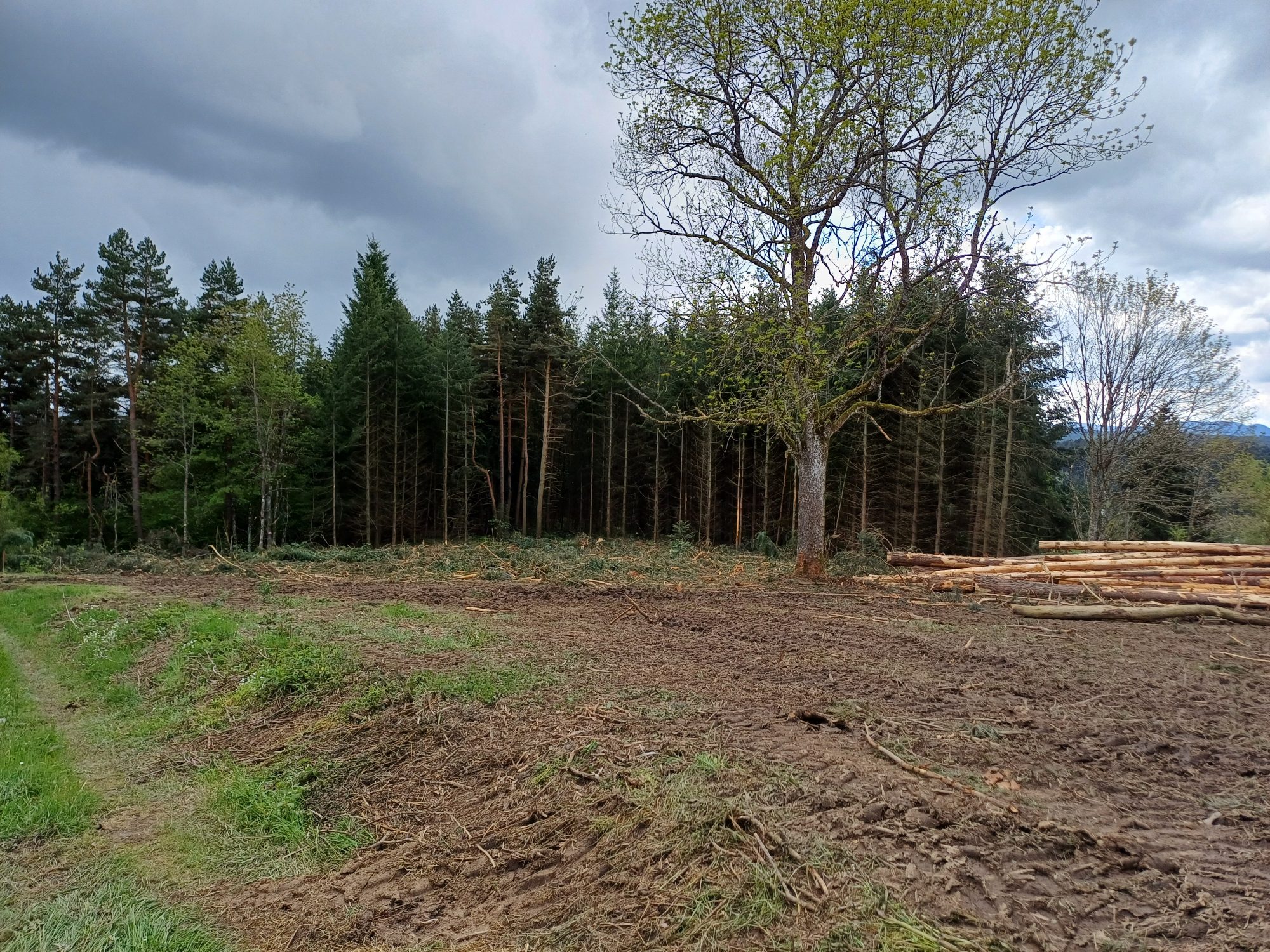 Terrain d’env. 5200m2 dont environ 1215m2 constructibles