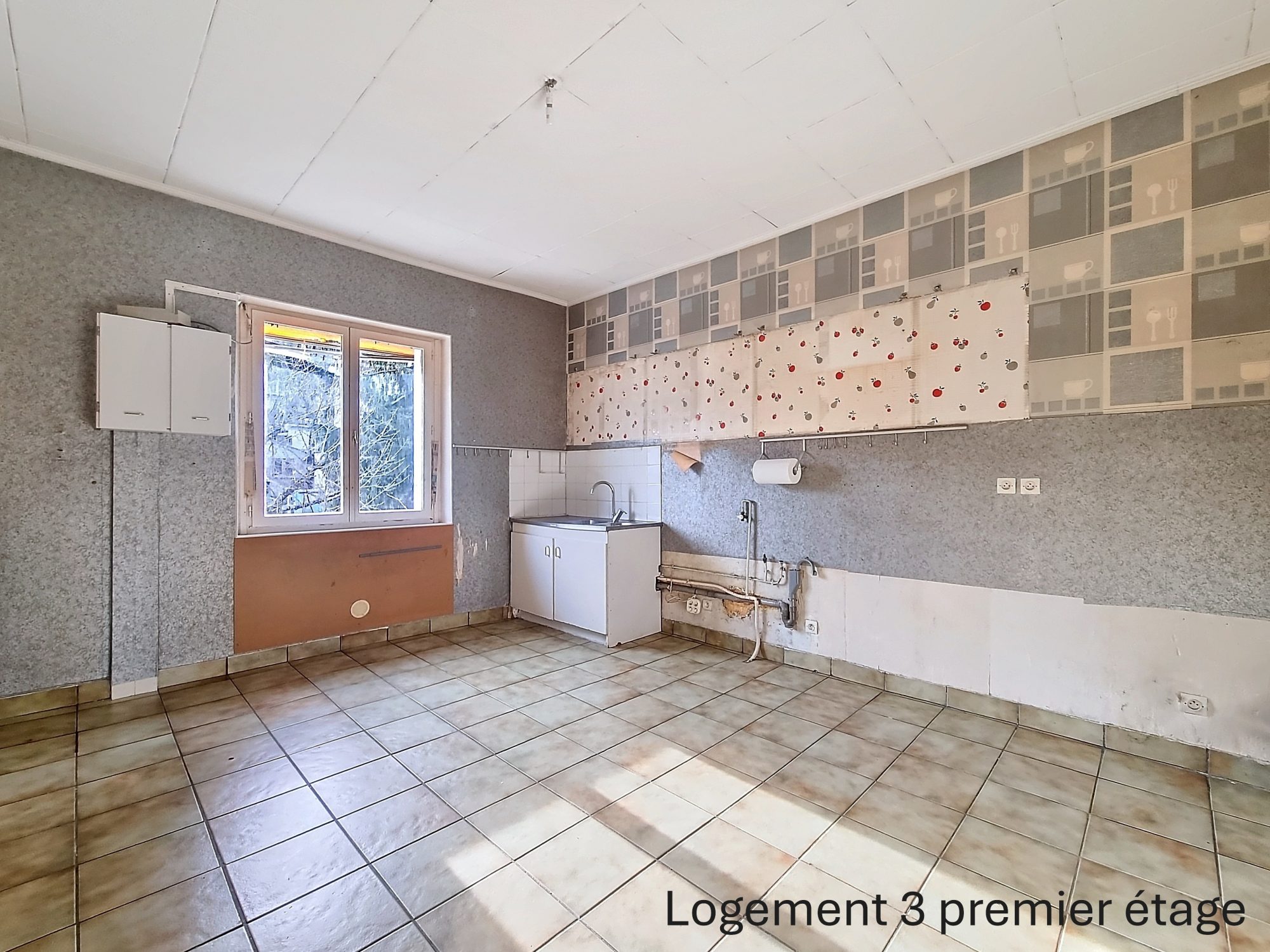 tènement de 5 logements Fraisses 42490