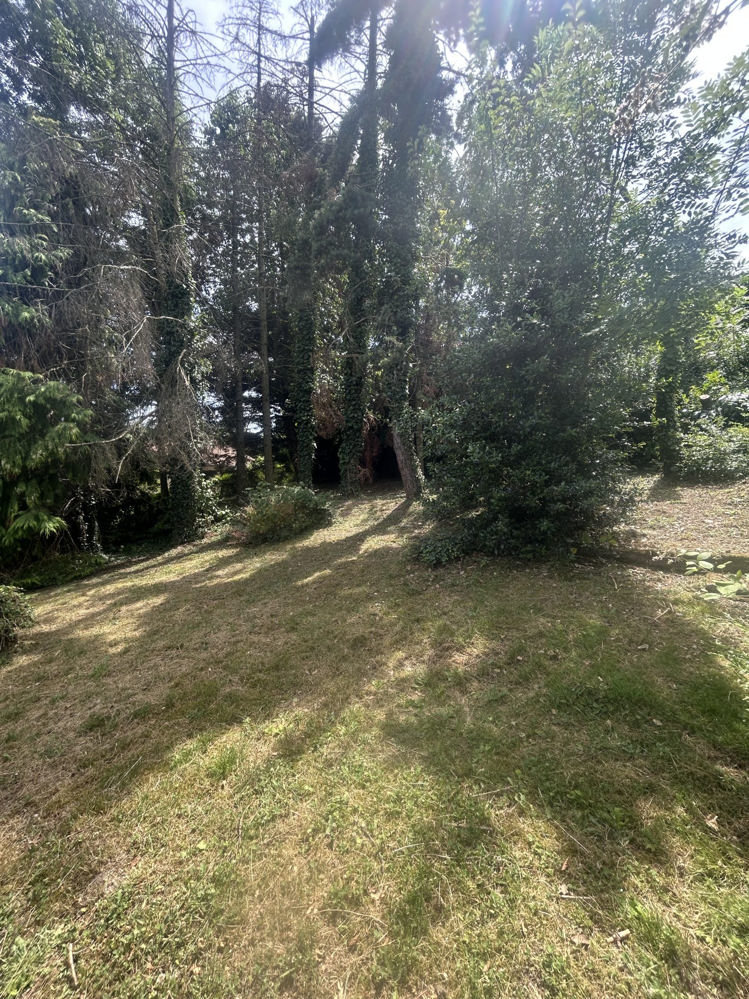 Maison - 5 pièces - 88 m² - Saint-Étienne (42000)