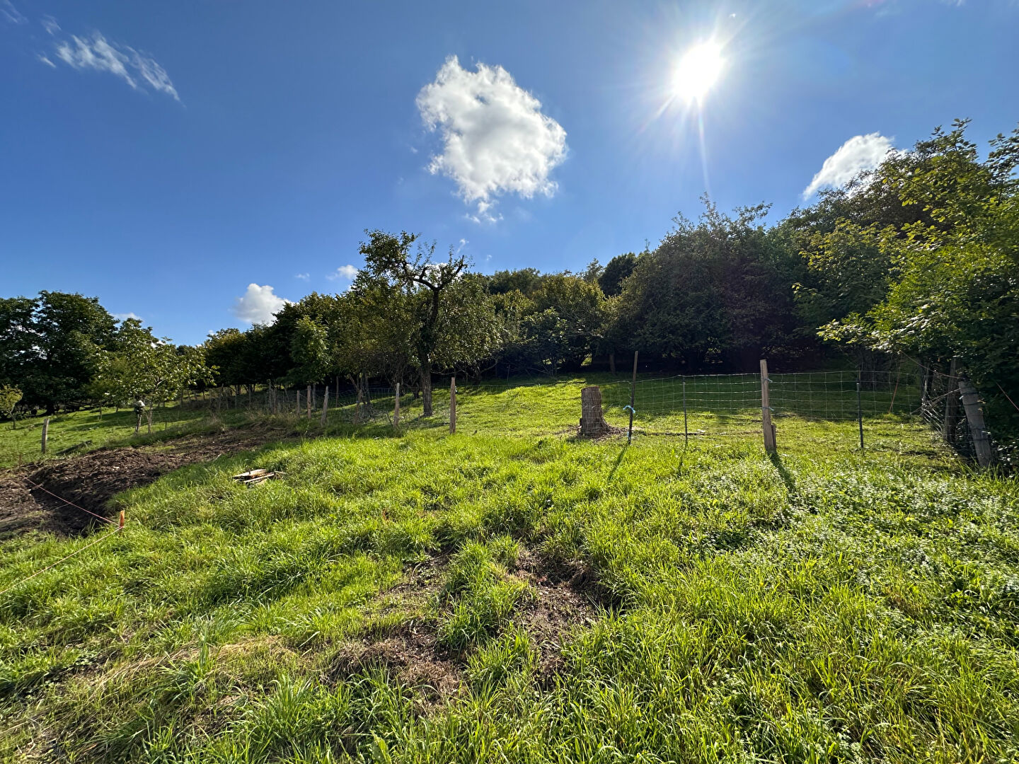 Terrain Soultz Haut Rhin 750 m2