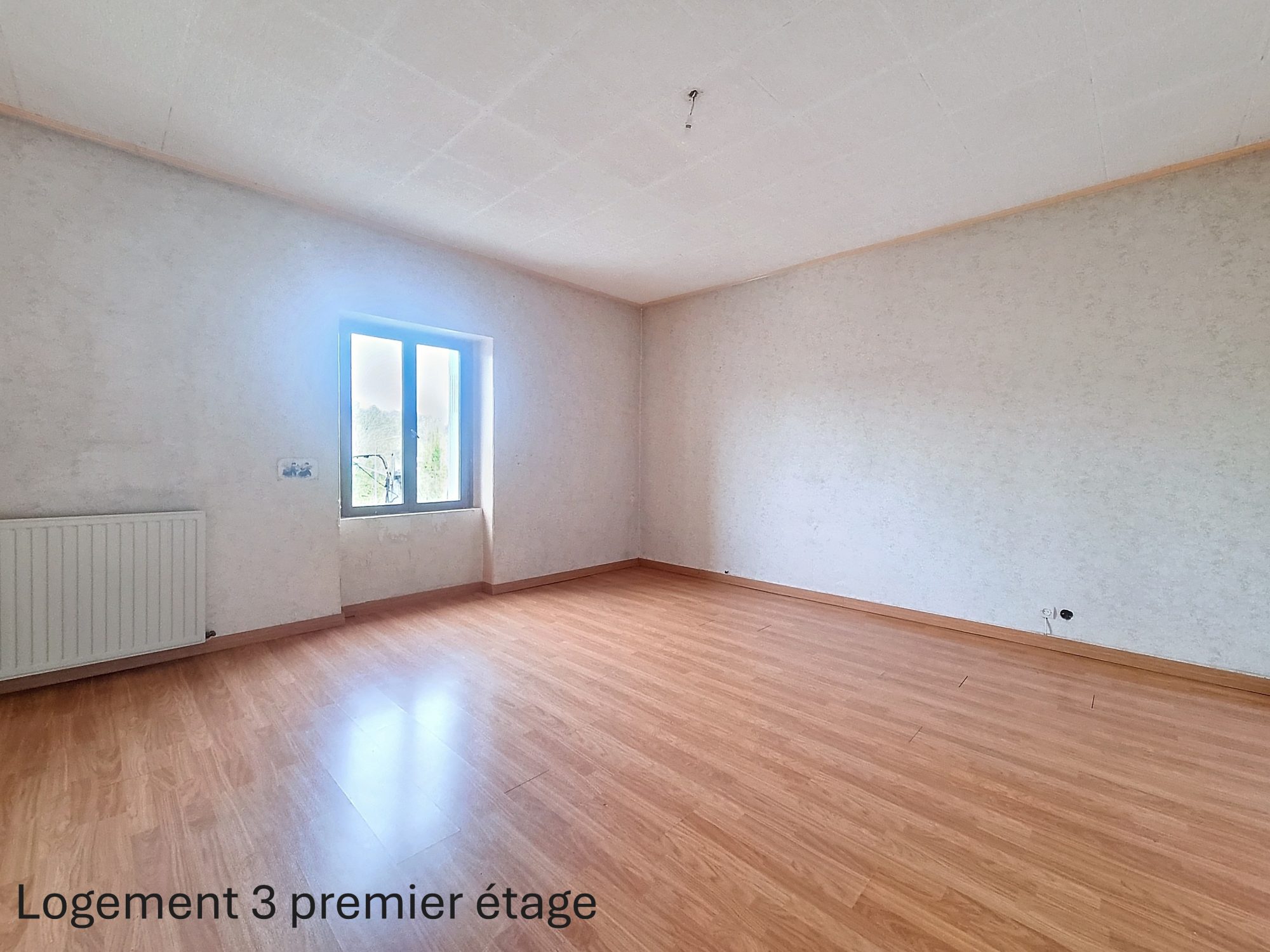 tènement de 5 logements Fraisses 42490