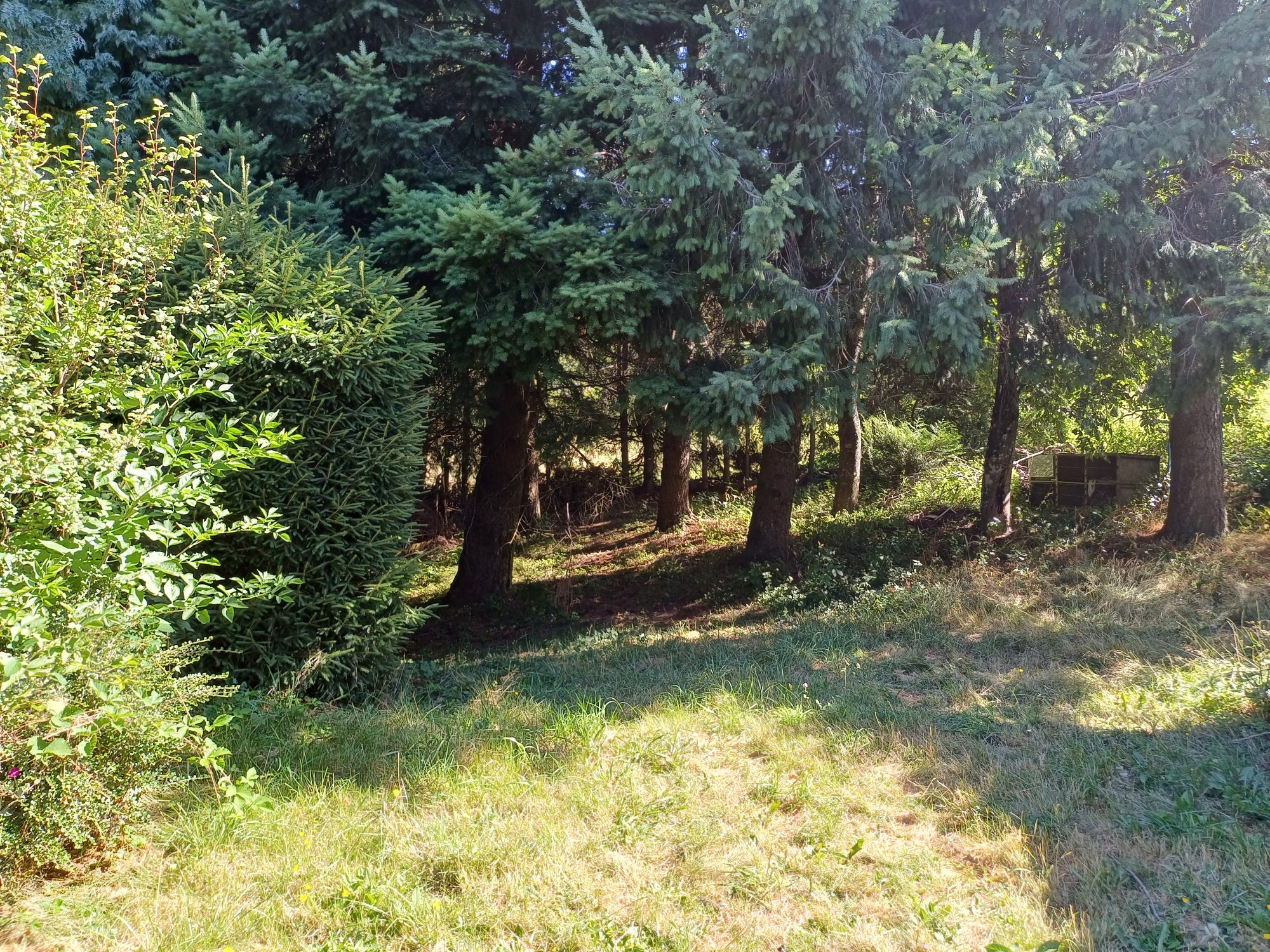 Maison - 8 pièces - 147 m² - Le Chambon-sur-Lignon (43400)