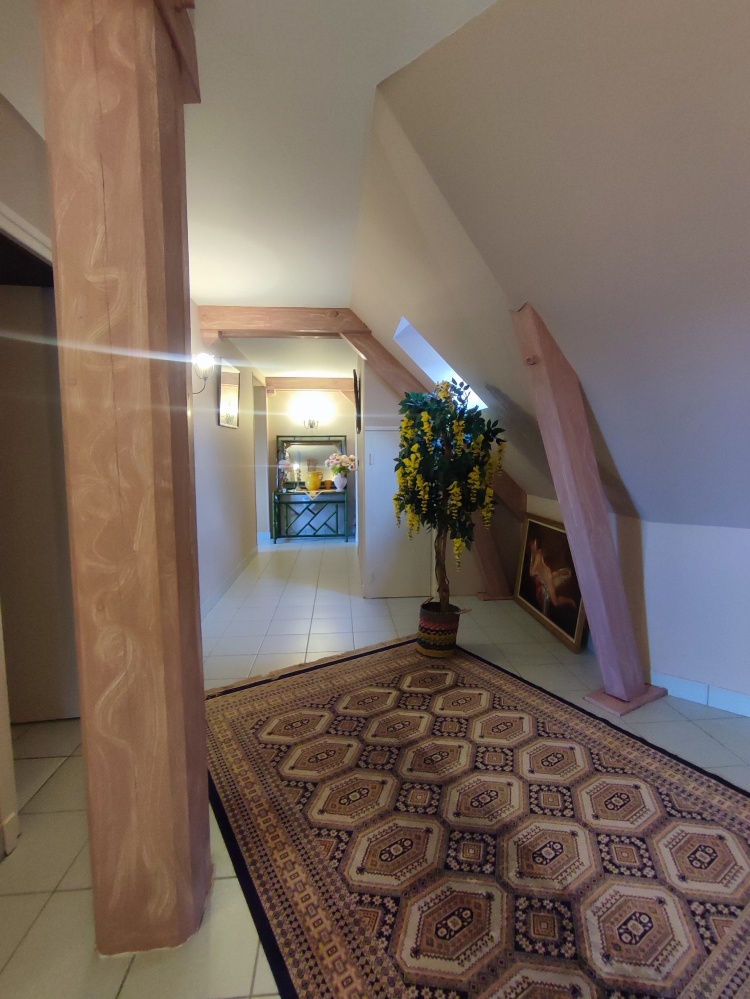 Maison - 8 pièces - 225 m² - Saint-Alyre-d'Arlanc (63220)