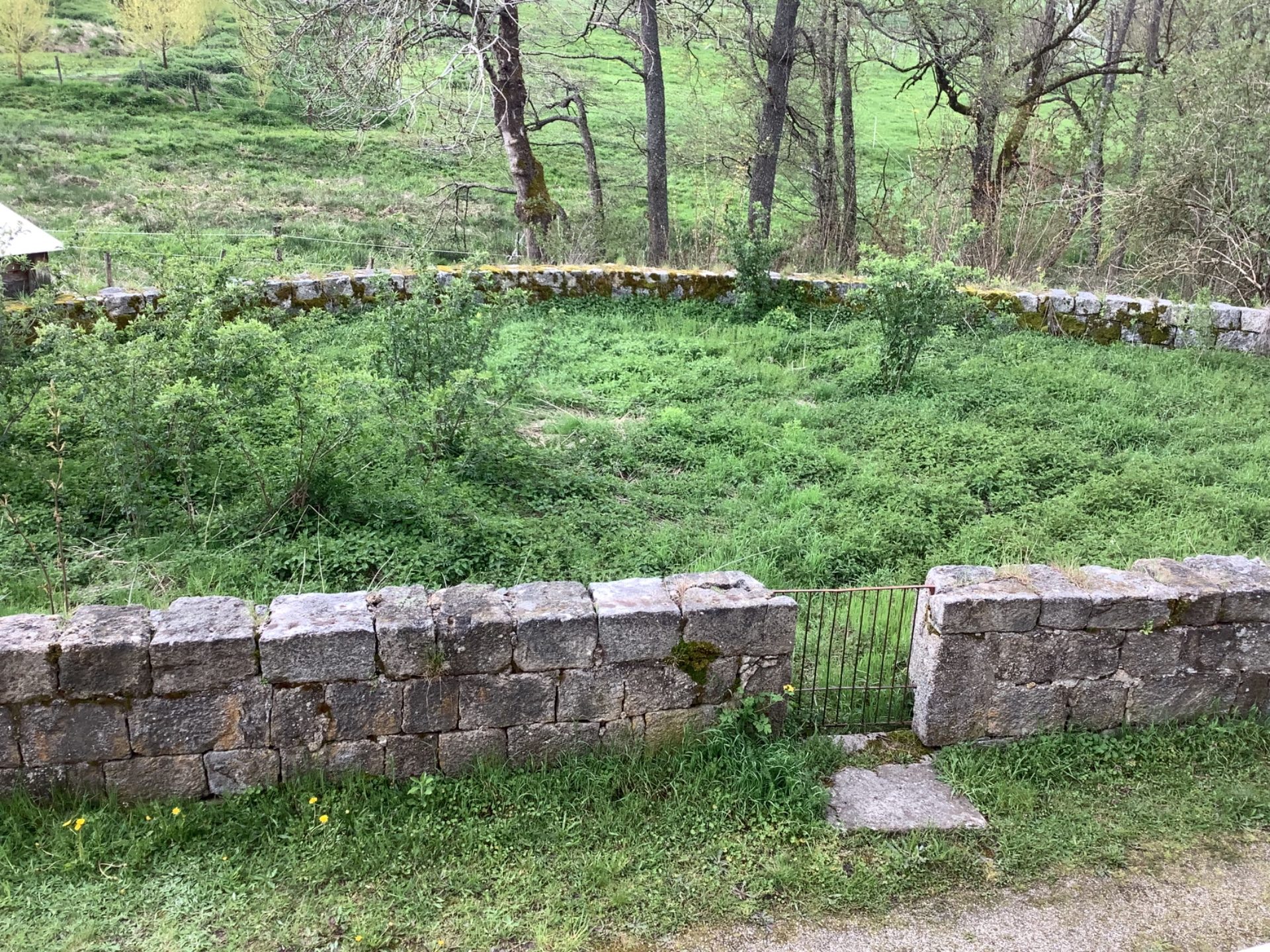 Maison en pierres mitoyenne avec garage et terrain d’environ 857 m2 Tence 43190