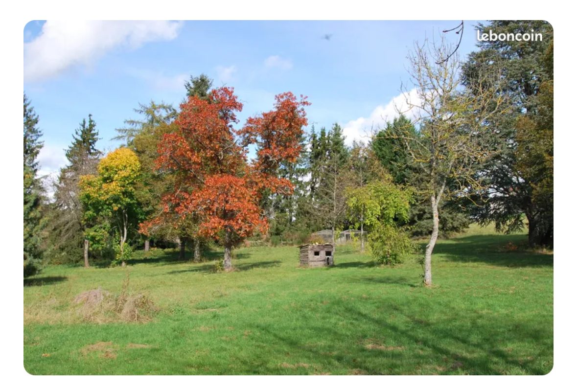 Ferme à rénover sur 1 hectares 5 de terrain constructible Usson-en-Forez 42550