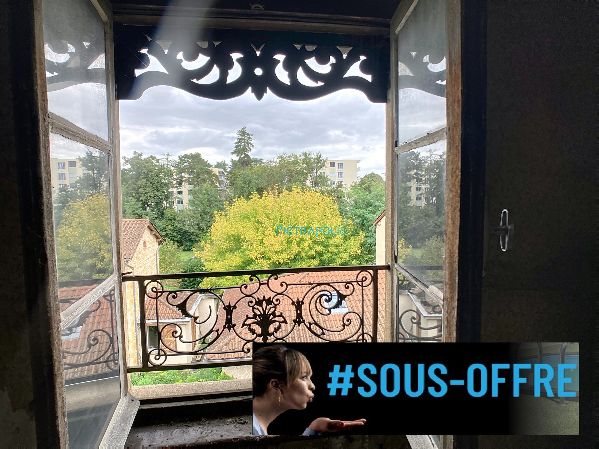 Plateau sous combles T3 - vue dégagée - traversant