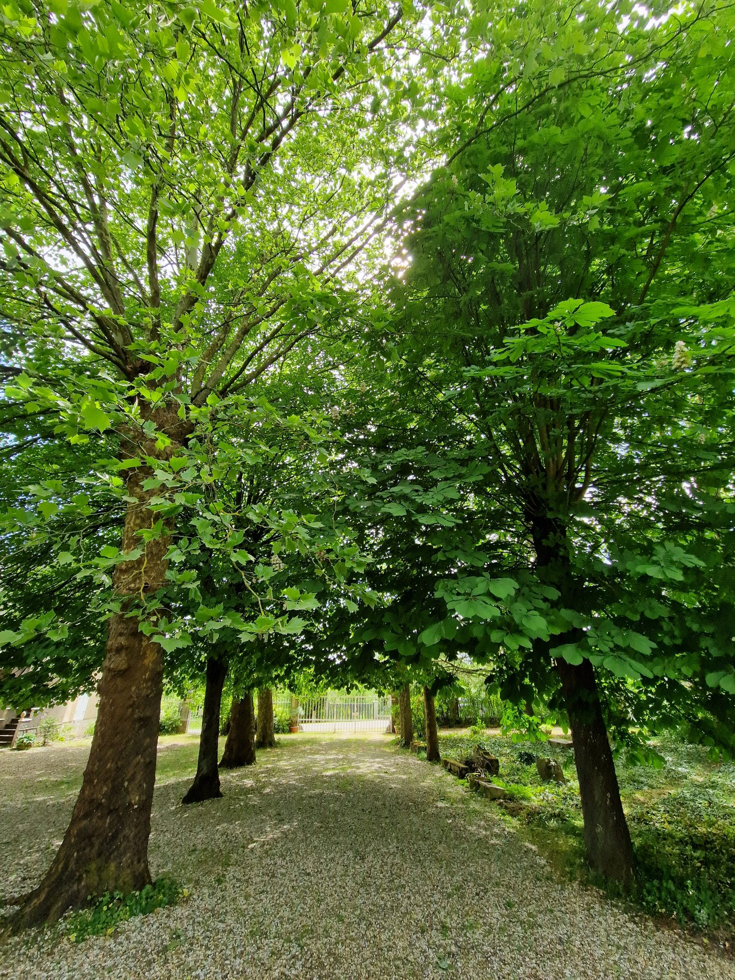 Propriété de caractère entre Chalon et Dole Chalon-sur-Saône 71100